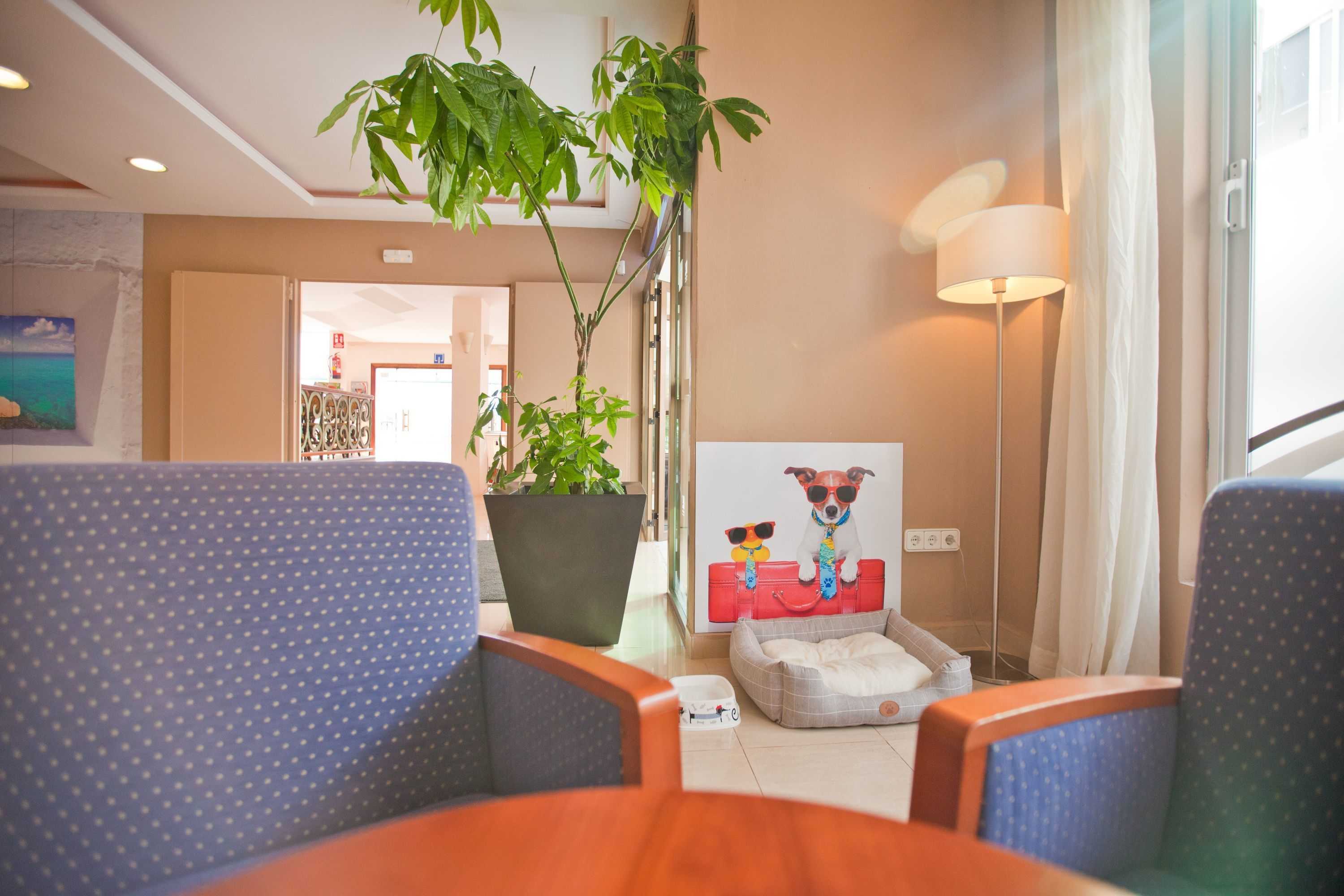 Gift card for Azuline Hotel Mediterraneo Gift card for Azuline Hotel Mediterraneo