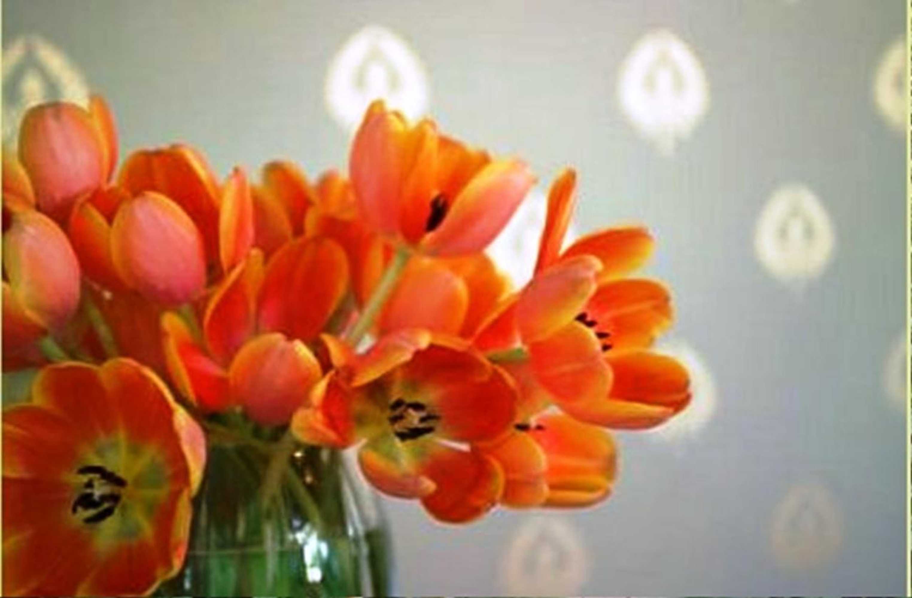 Gift card for The Grape Leaf Inn