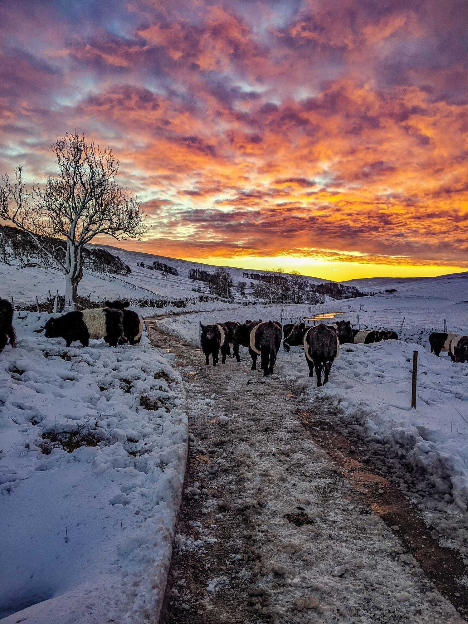 Gift card for Nethergill Haylofts