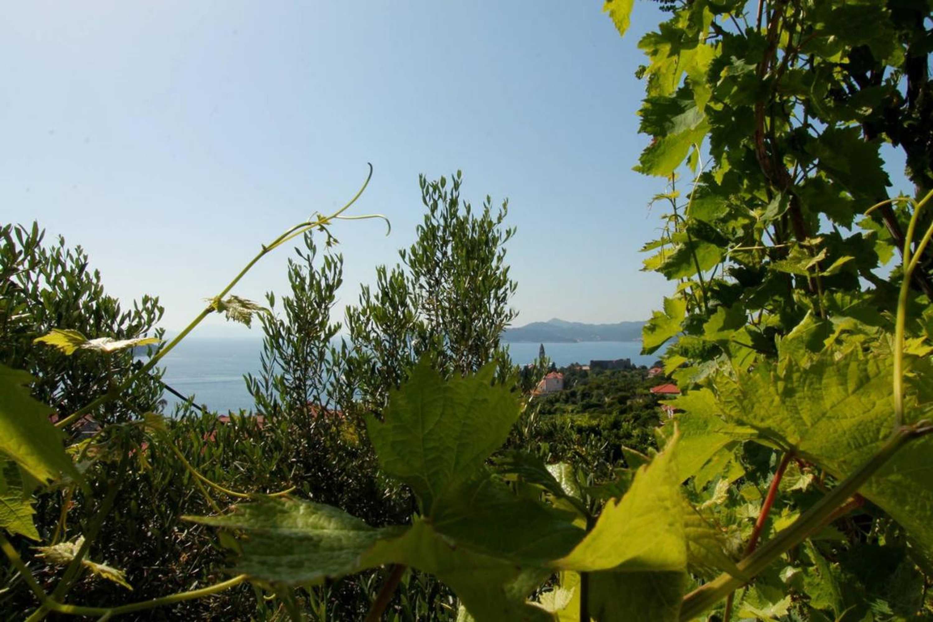 Gift card for Apartments Cervelin