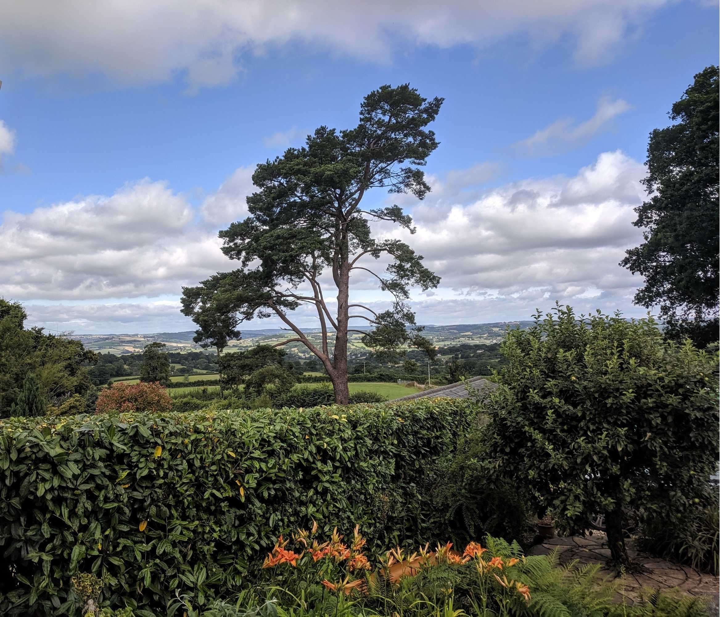 Gift card for Small Snug En-Suite With Stunning Views Near Lyme Regis Gift card for Small Snug En-Suite With Stunning Views Near Lyme Regis