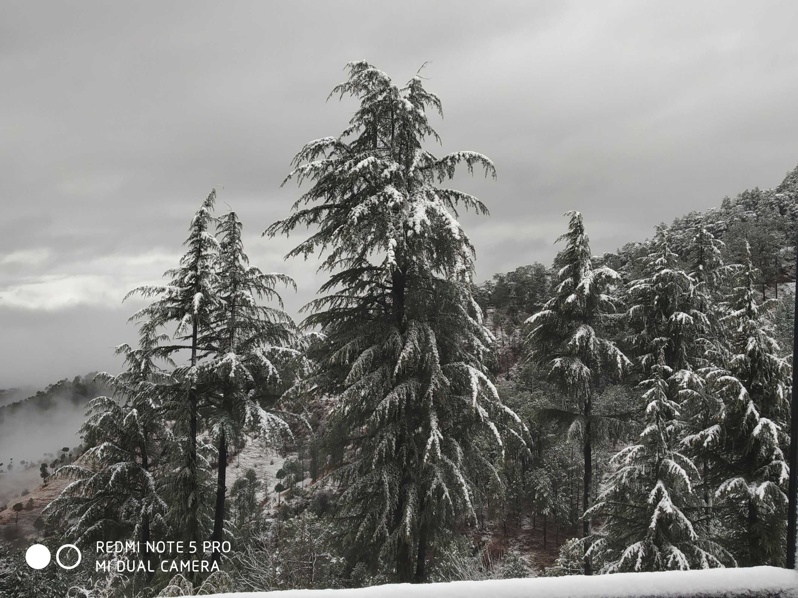 Gift card for Mountain View Resort