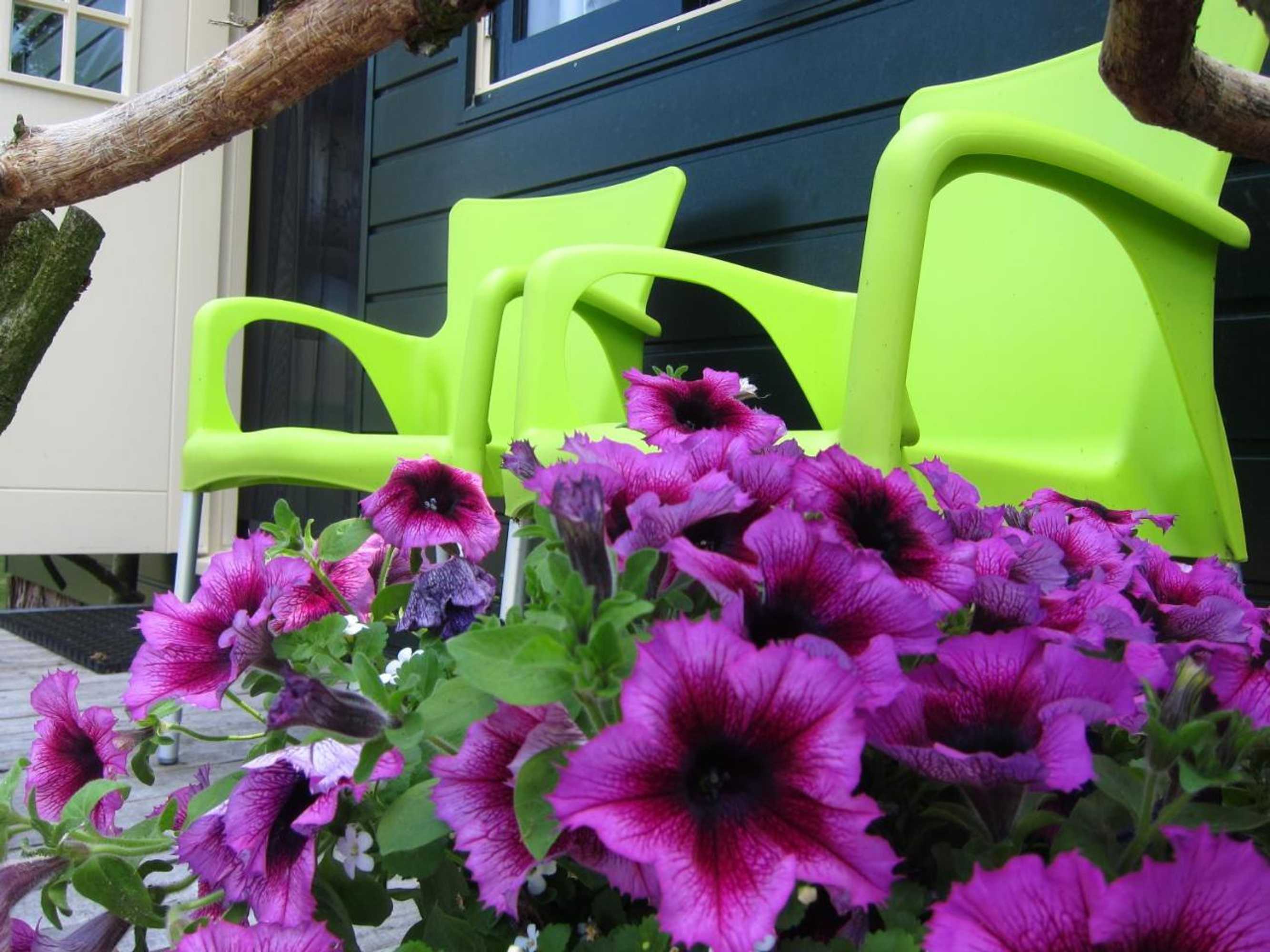 Gift card for Pipowagen Minicamping De Linde