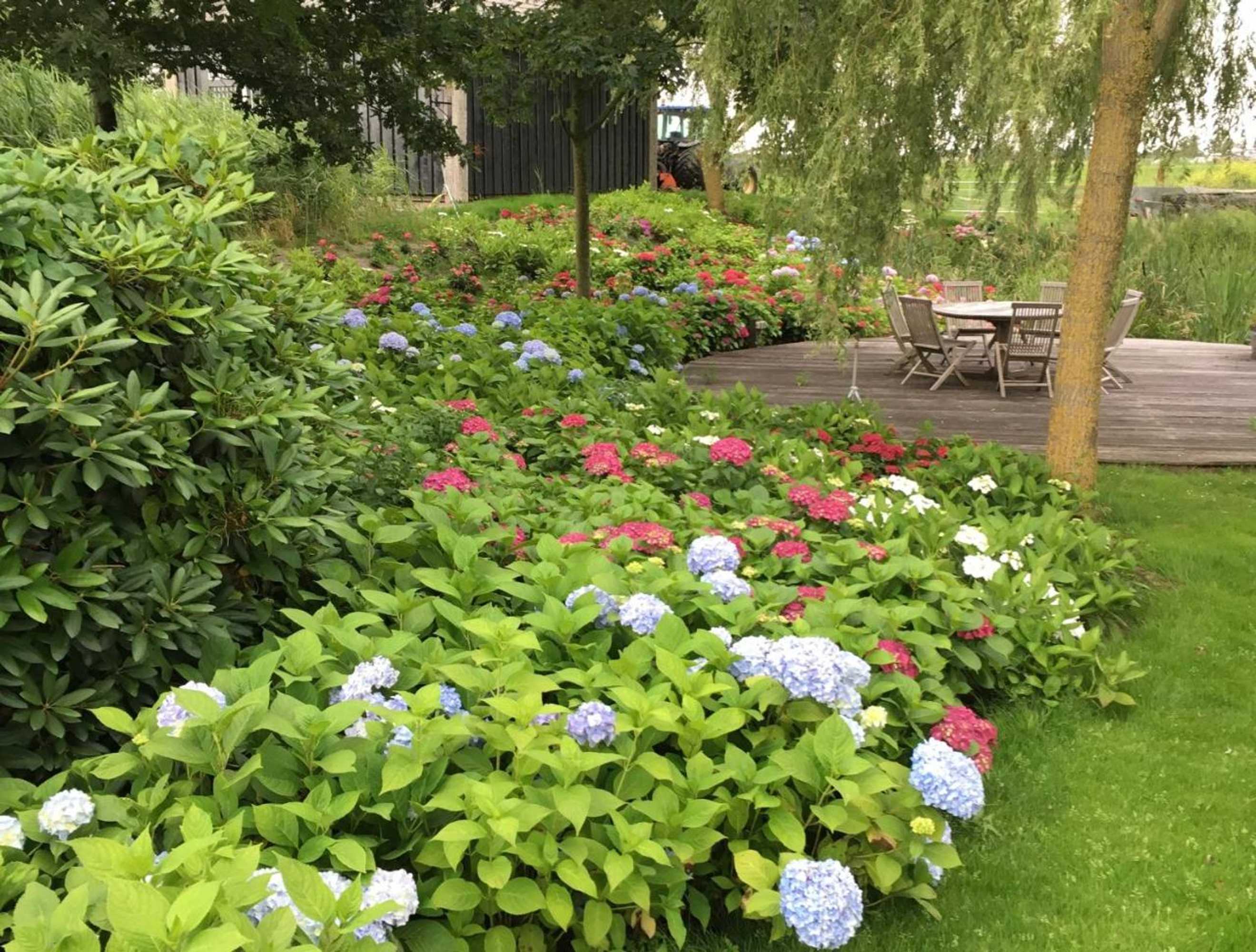 Gift card for Private Island De Sayter