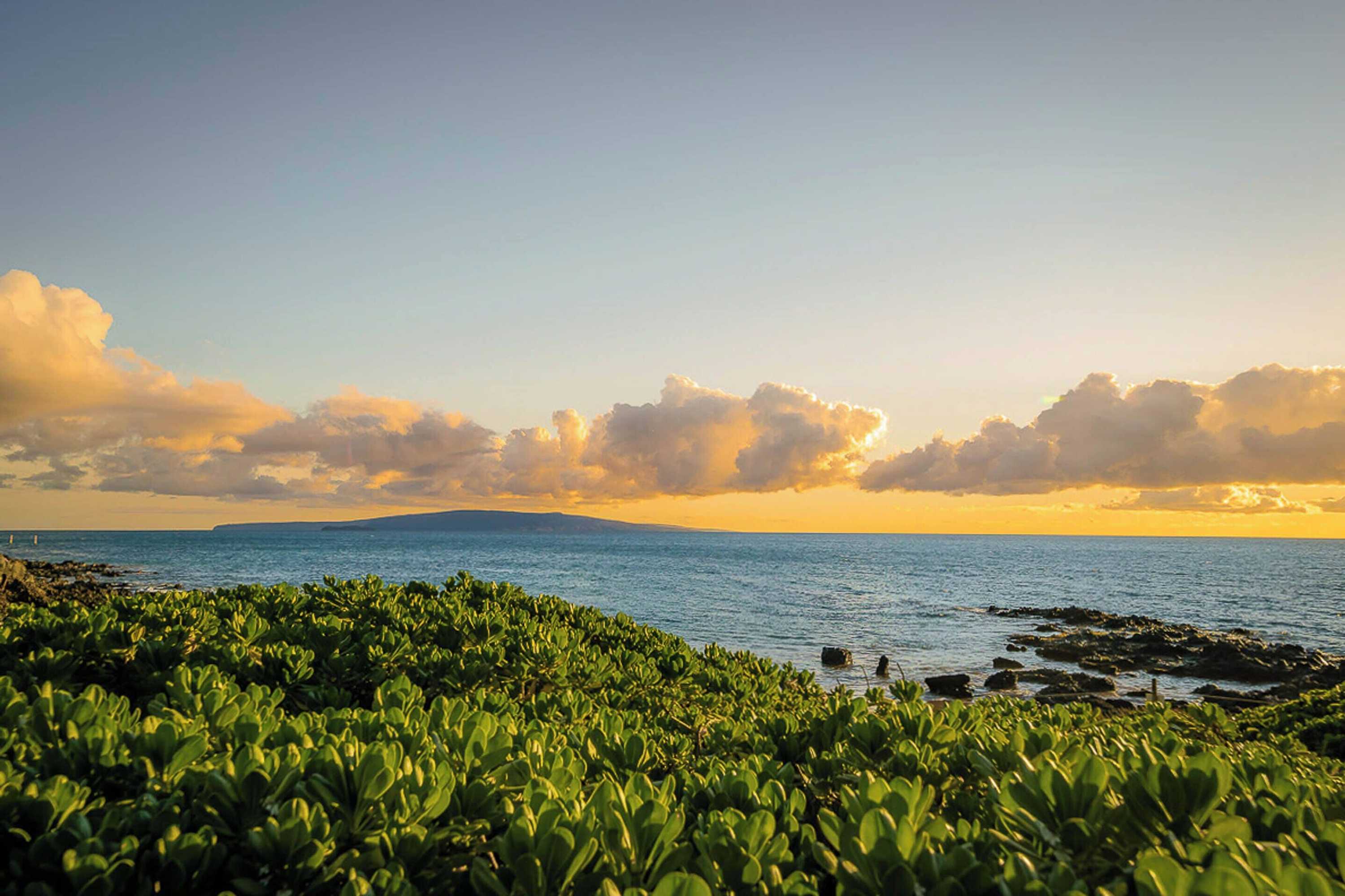 Gift card for Shores of Maui 121 by Maui Rental Group