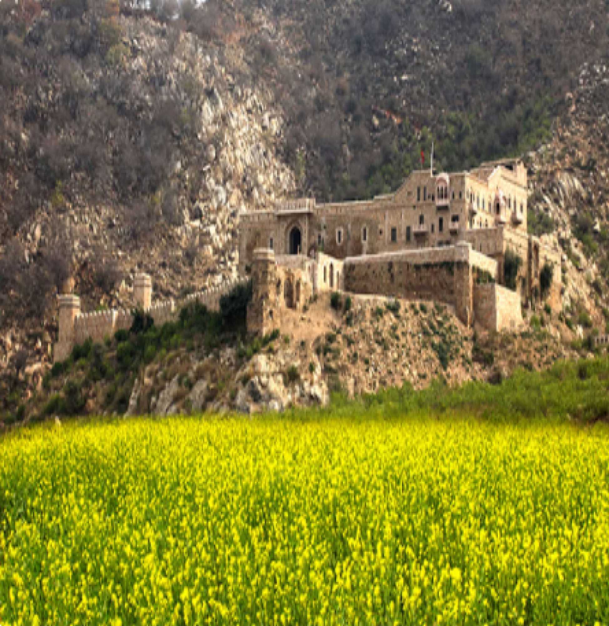 Gift card for Fort Dadhikar, Alwar Gift card for Fort Dadhikar, Alwar