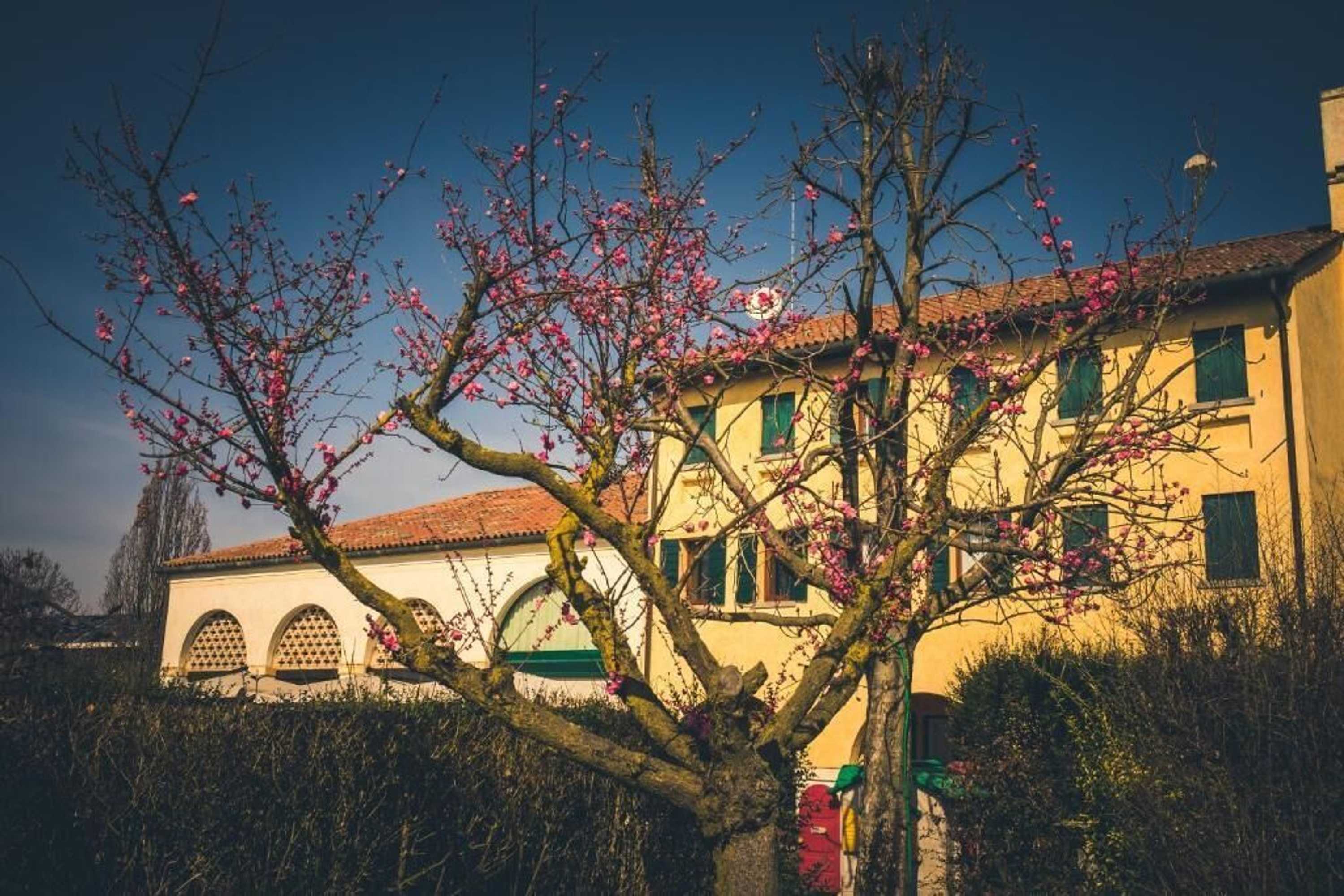 Gift card for Le Vigne Morosina