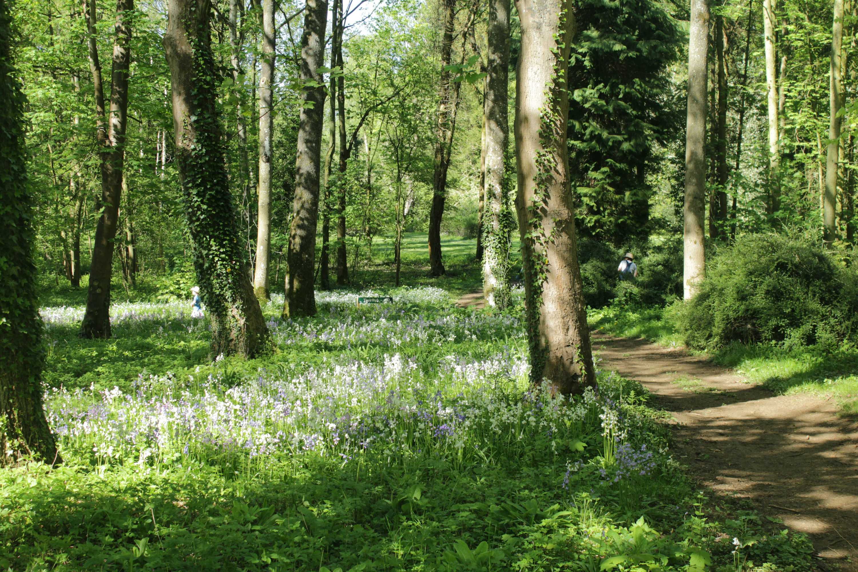 Gift card for Garden Barn