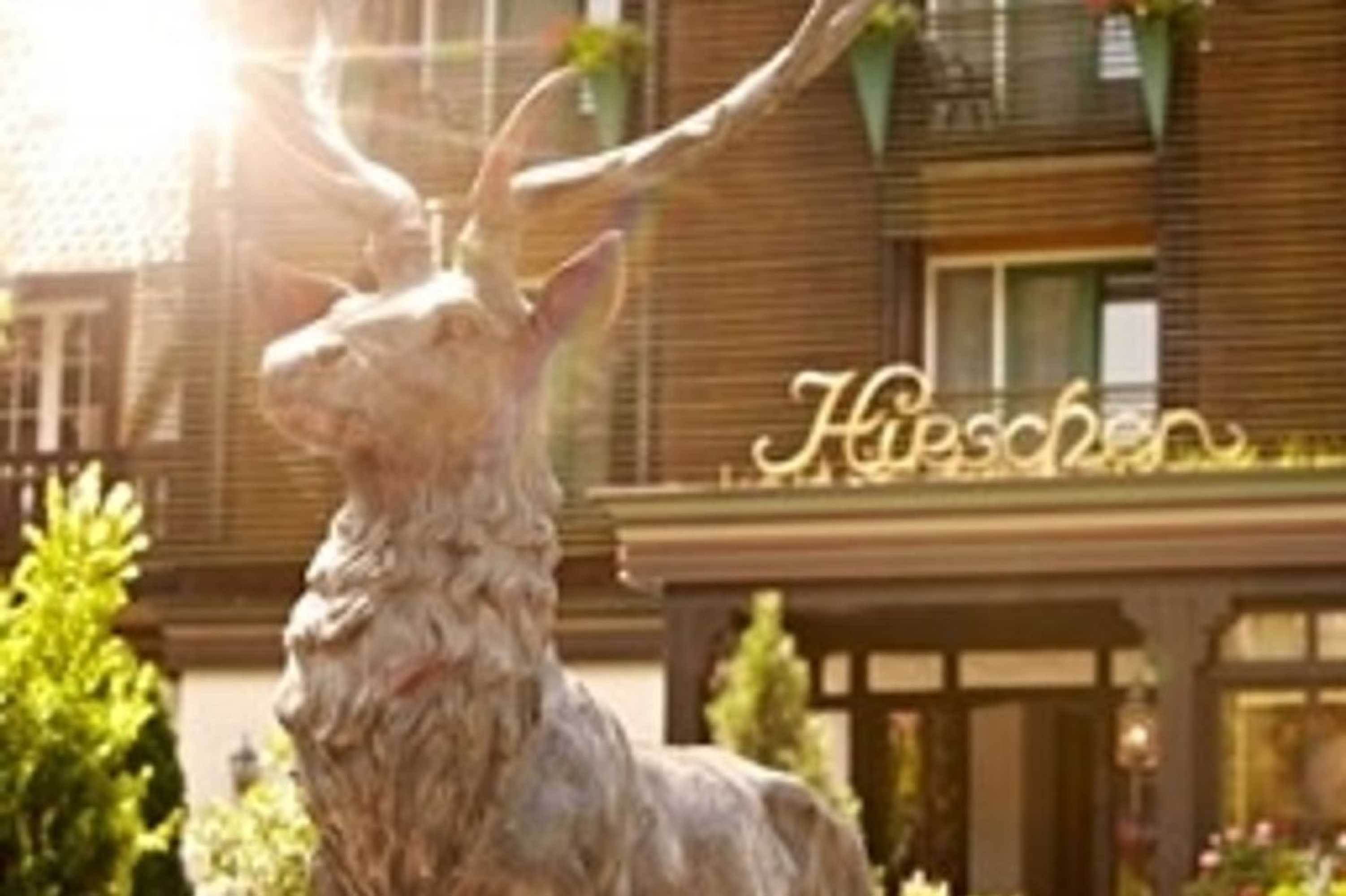 Gift card for Hotel Hirschen Gift card for Hotel Hirschen