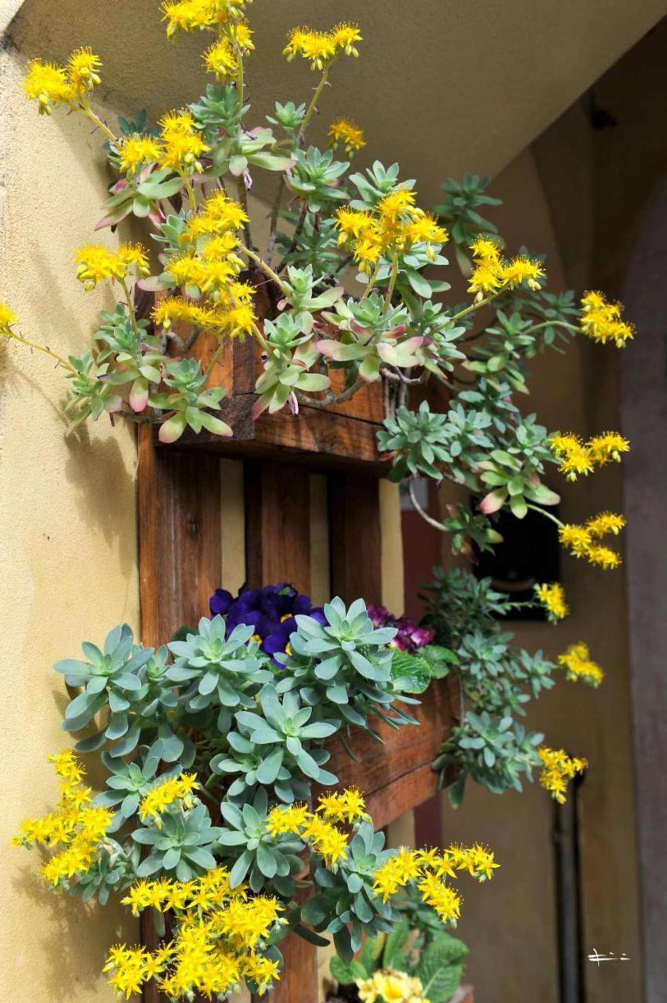 Gift card for B&b Vicenza San Rocco