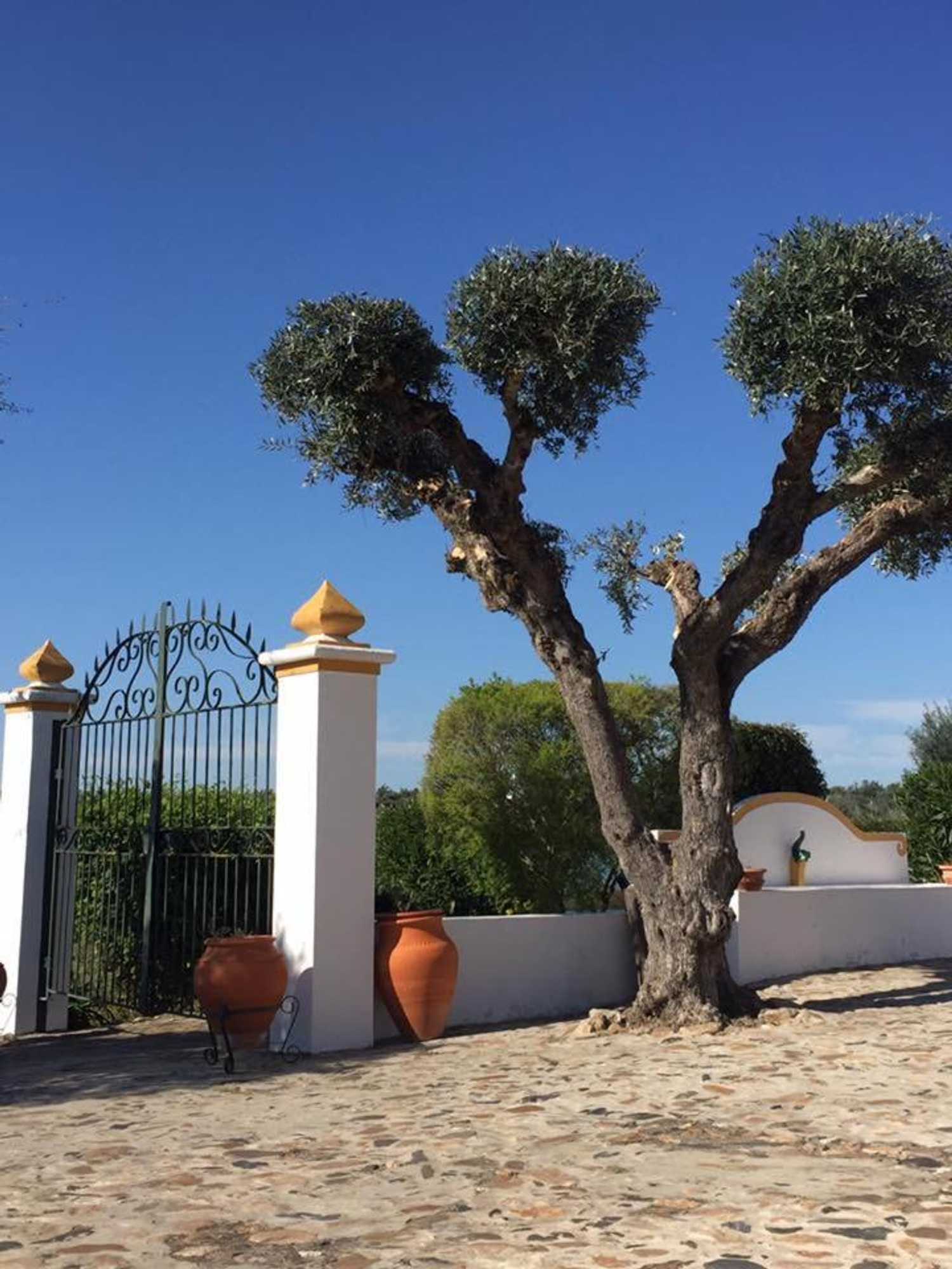 Gift card for Monte Dos Aroeirais