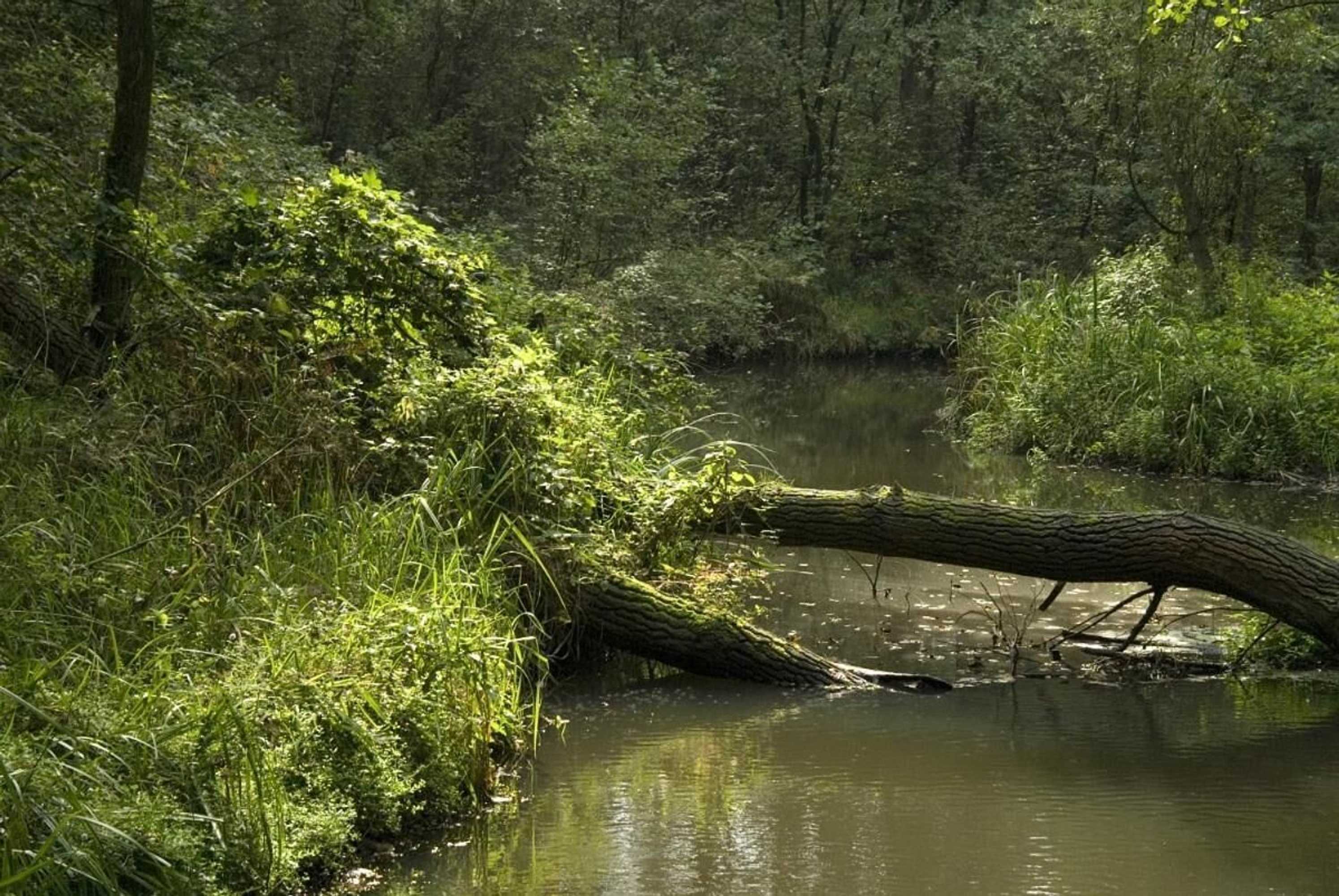 Gift card for Gasterij Hotel Dennenoord