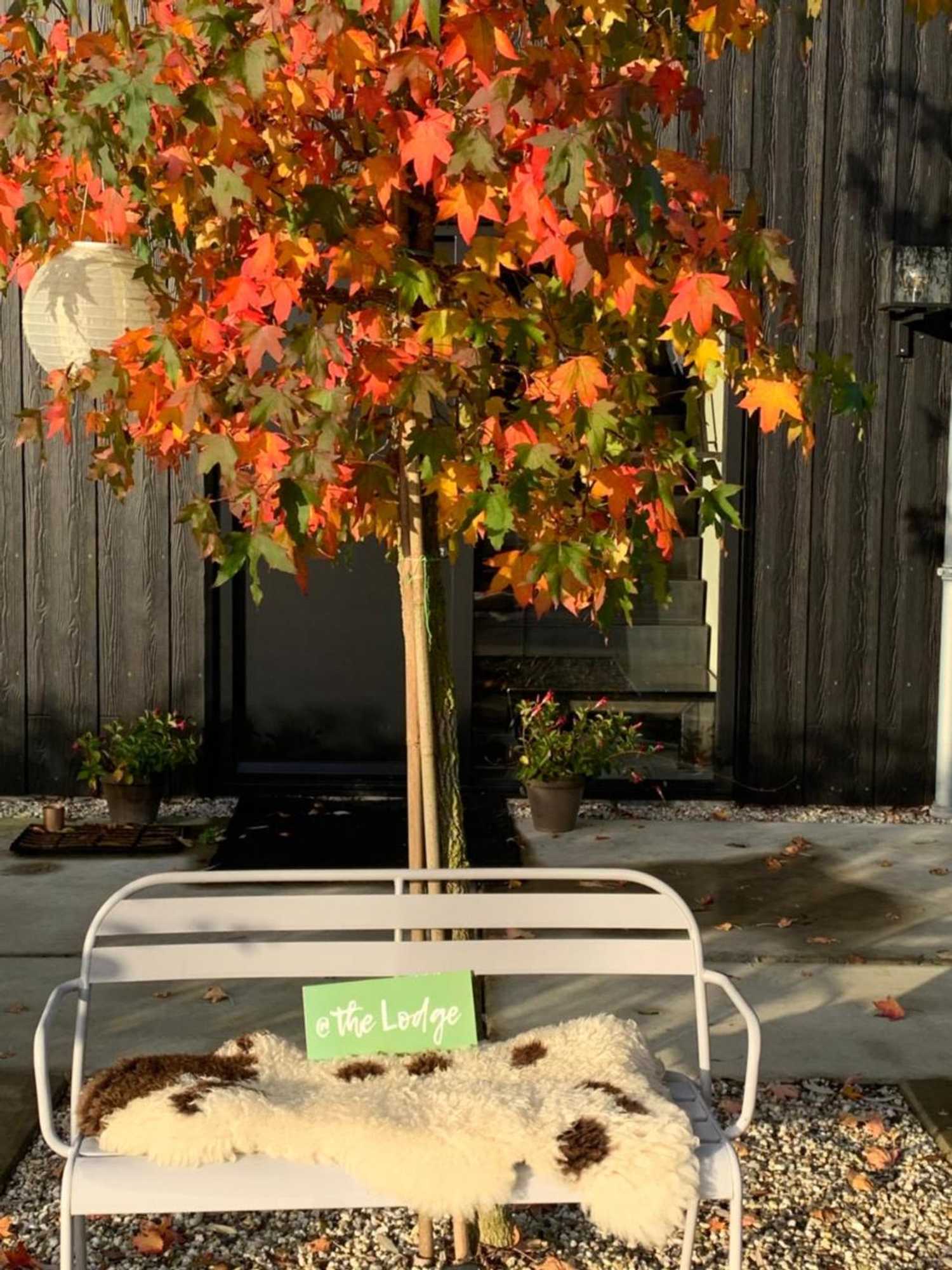 Gift card for @thelodge