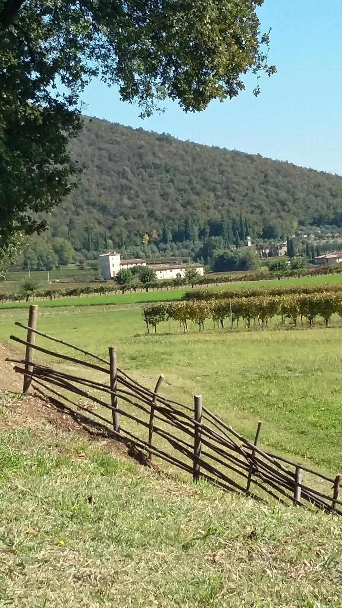 Gift card for B&b Cascina San Martino Gift card for B&b Cascina San Martino