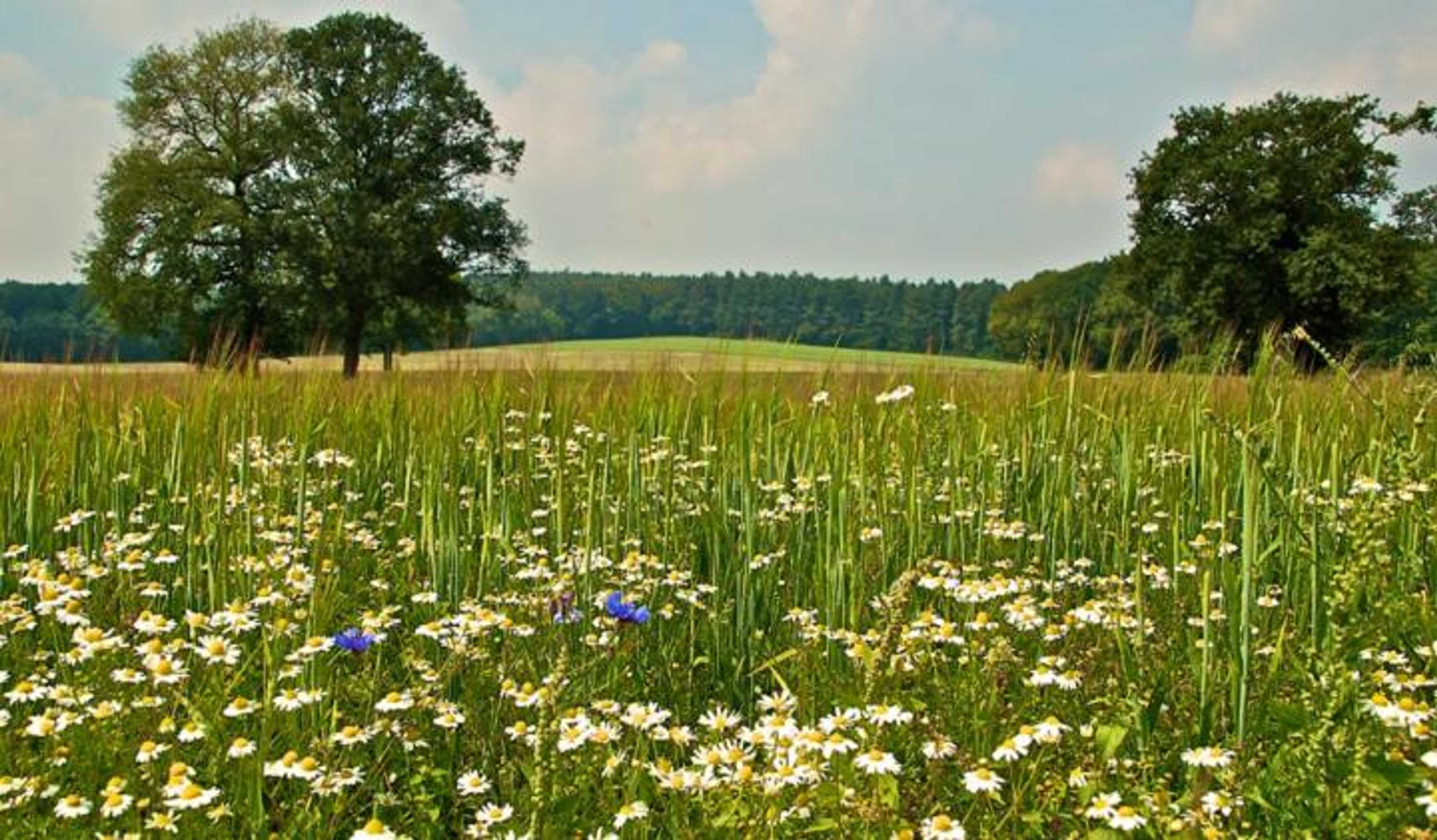 Gift card for Hotel Zonneheuvel