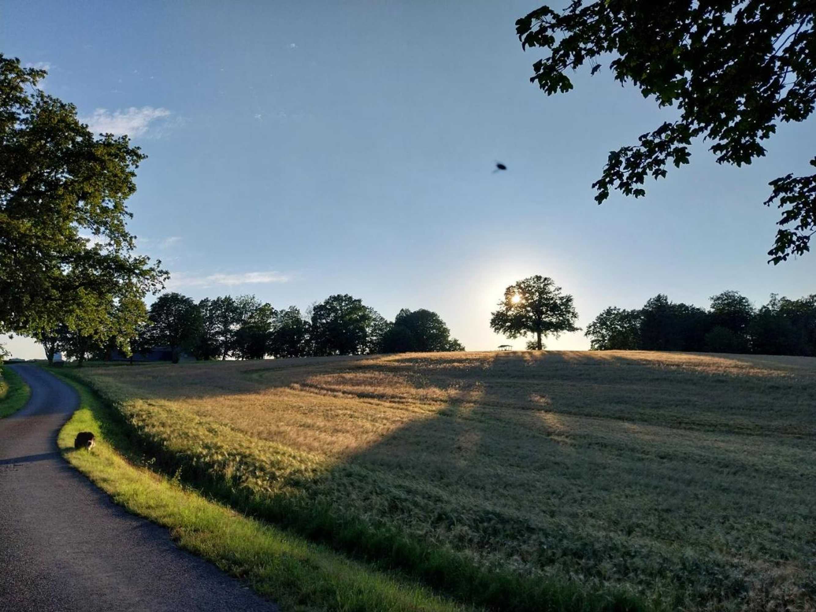 Gift card for Landhotel Waldschlößchen Mit Gaststube