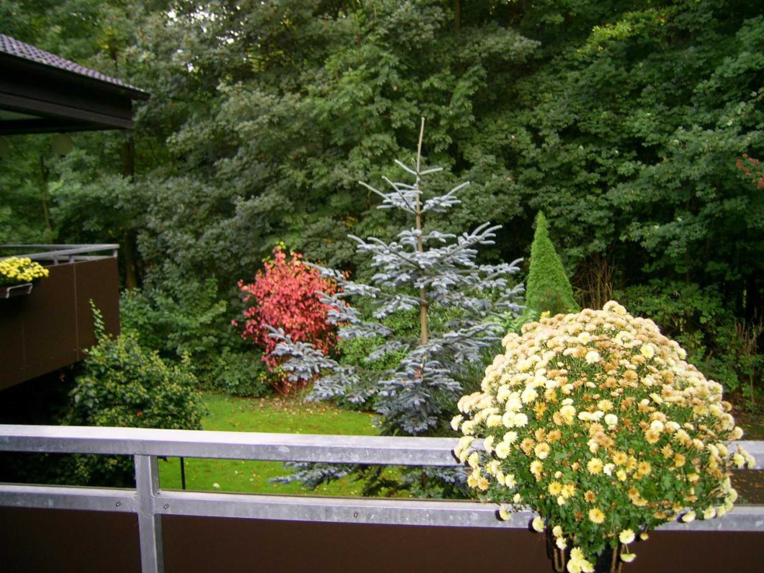 Gift card for Waldpension Bielefeld