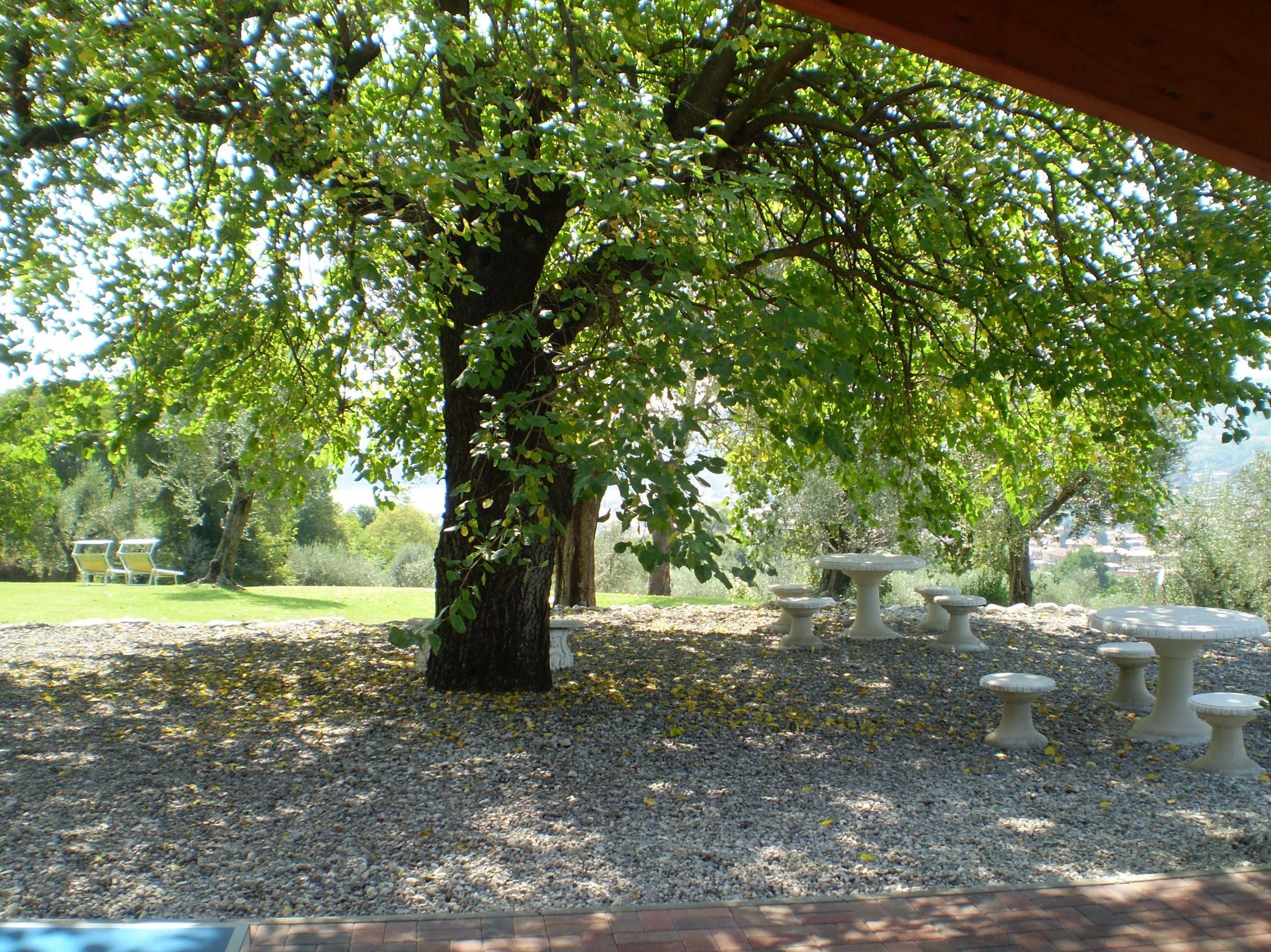 Gift card for Agriturismo Renzano Garden Apartments
