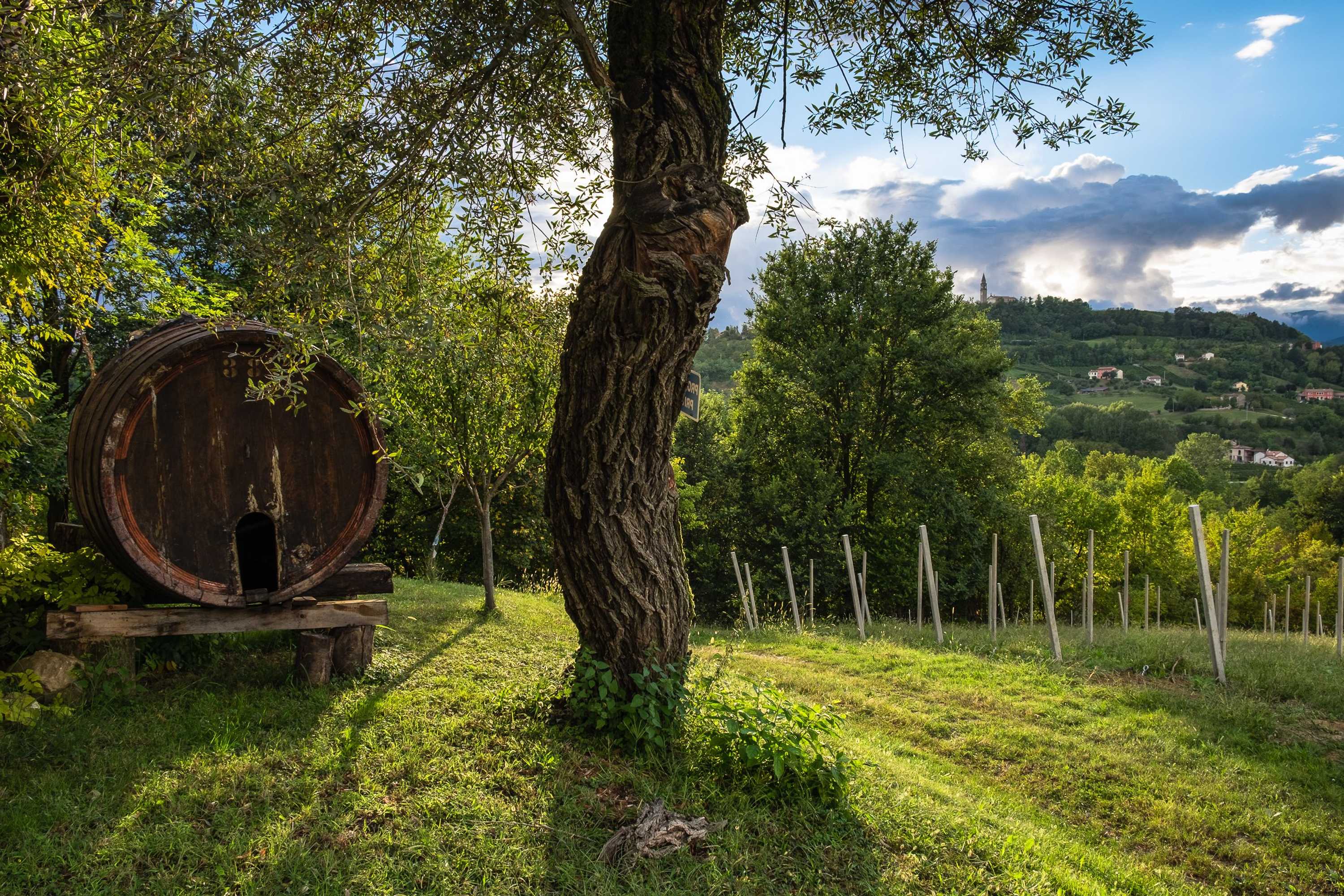 Gift card for Agriturismo Le Spezie Gift card for Agriturismo Le Spezie