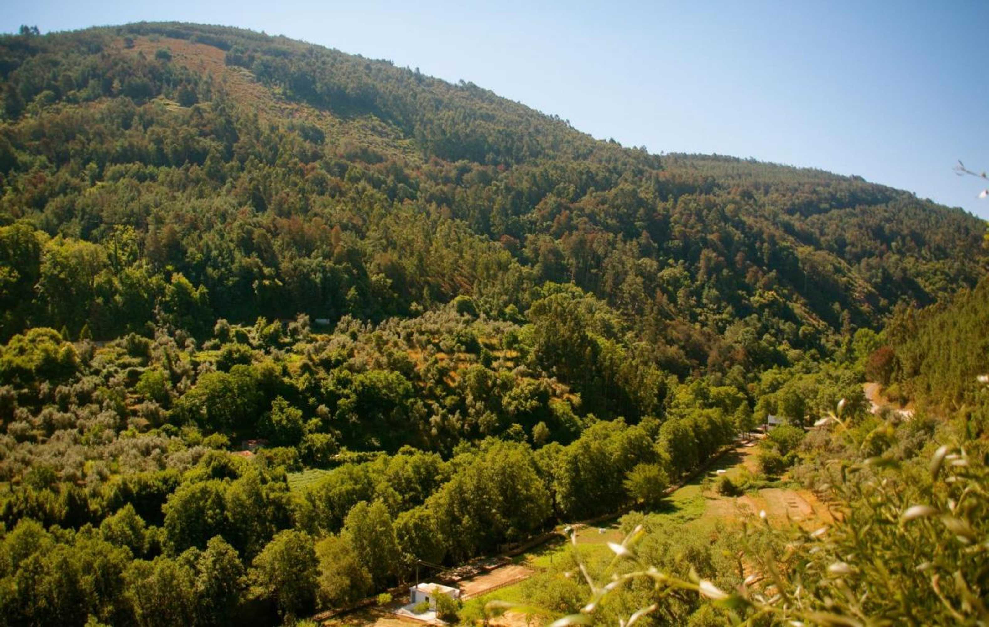 Gift card for Góis Camping