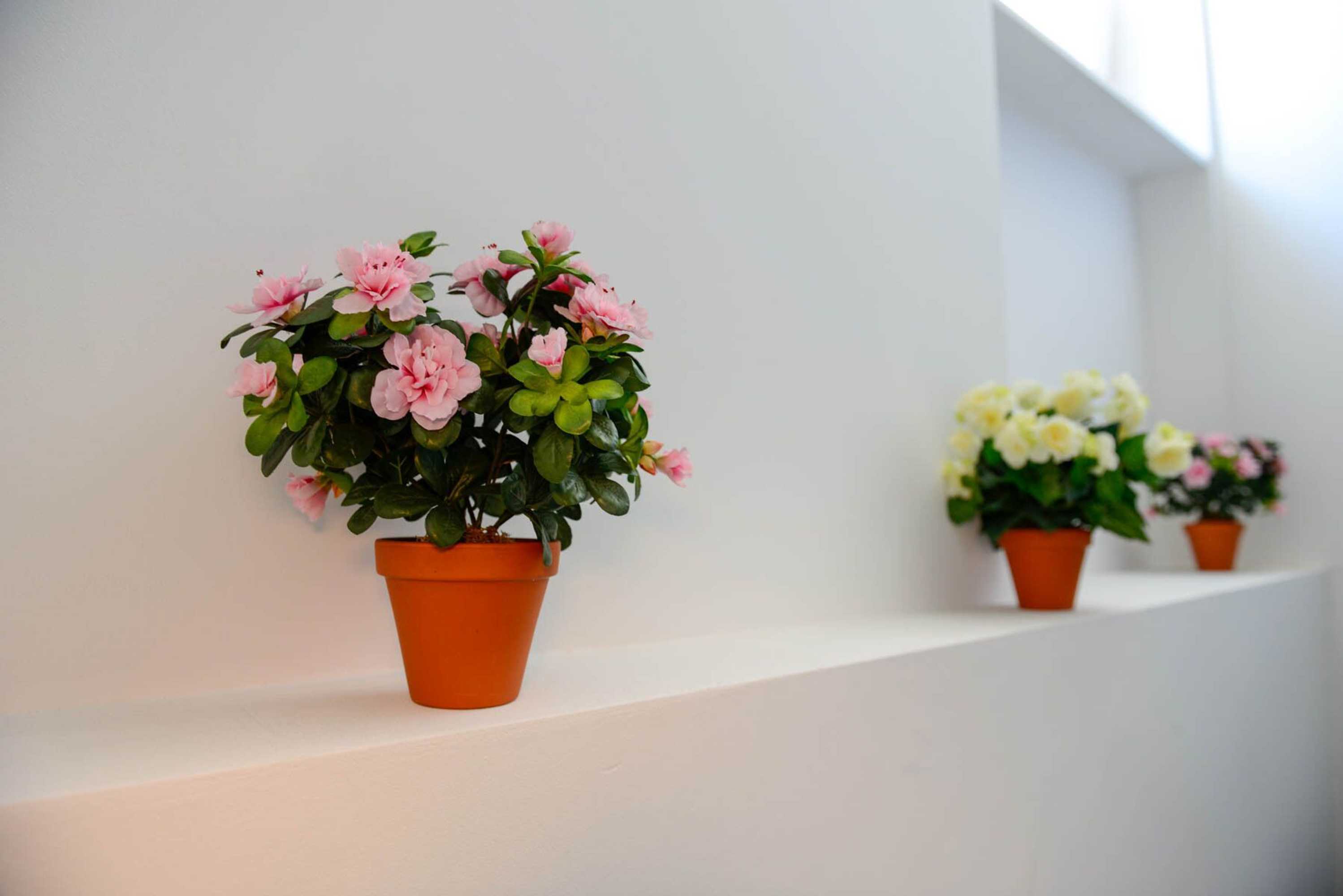 Gift card for Pension Und Monteurzimmer Victoria