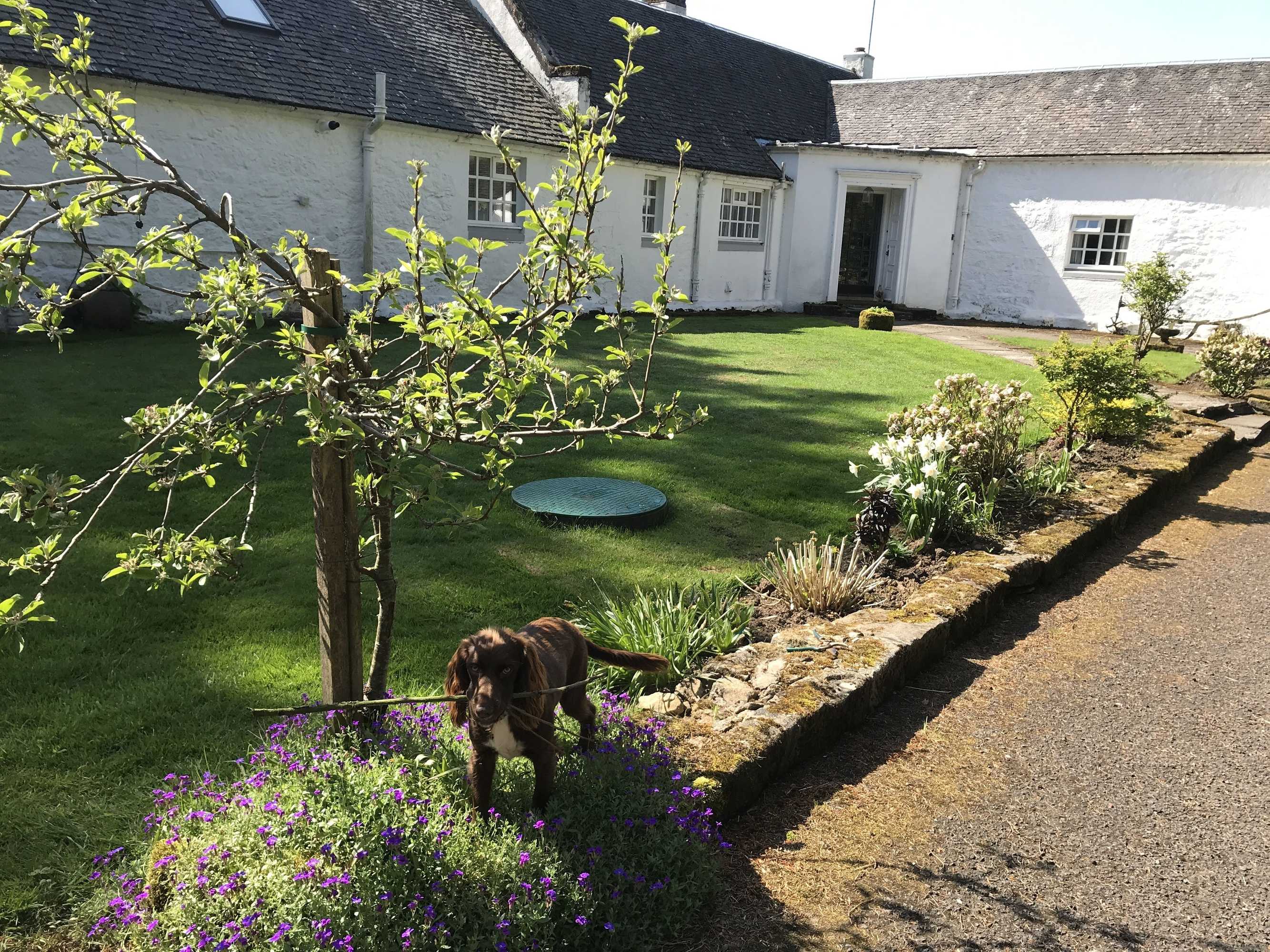 Gift card for South Craighall Bed & Breakfast Gift card for South Craighall Bed & Breakfast