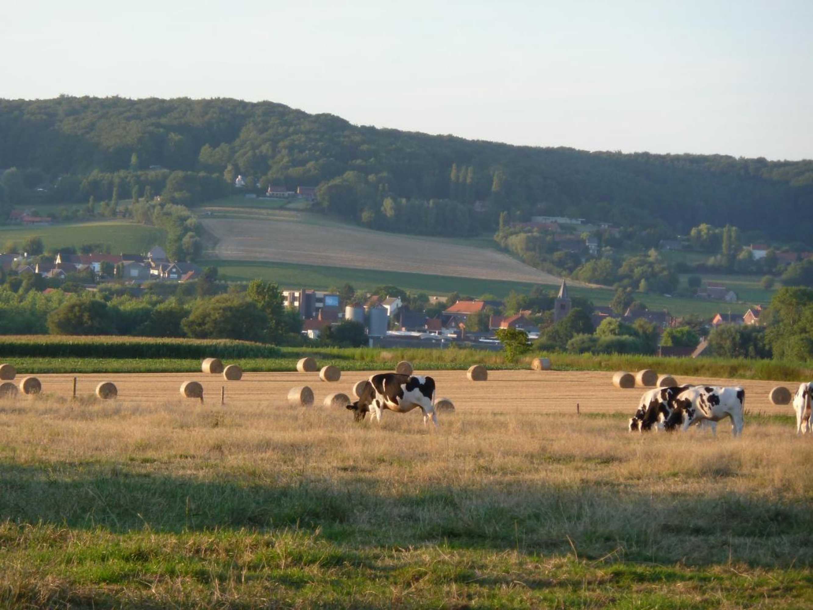 Gift card for Entre Monts et Collines B&b et Spa en Option
