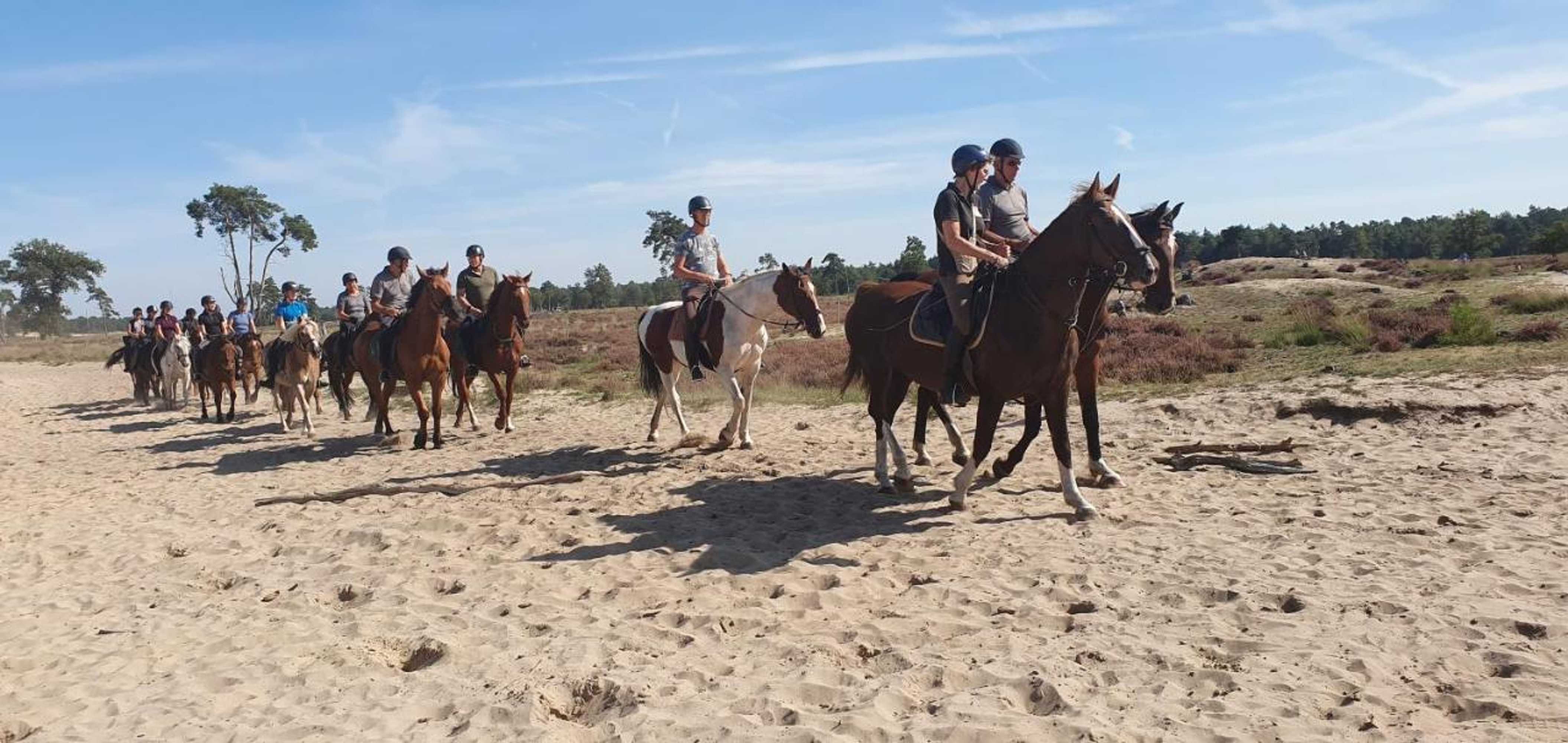 Gift card for Bed en Breakfast de Olm