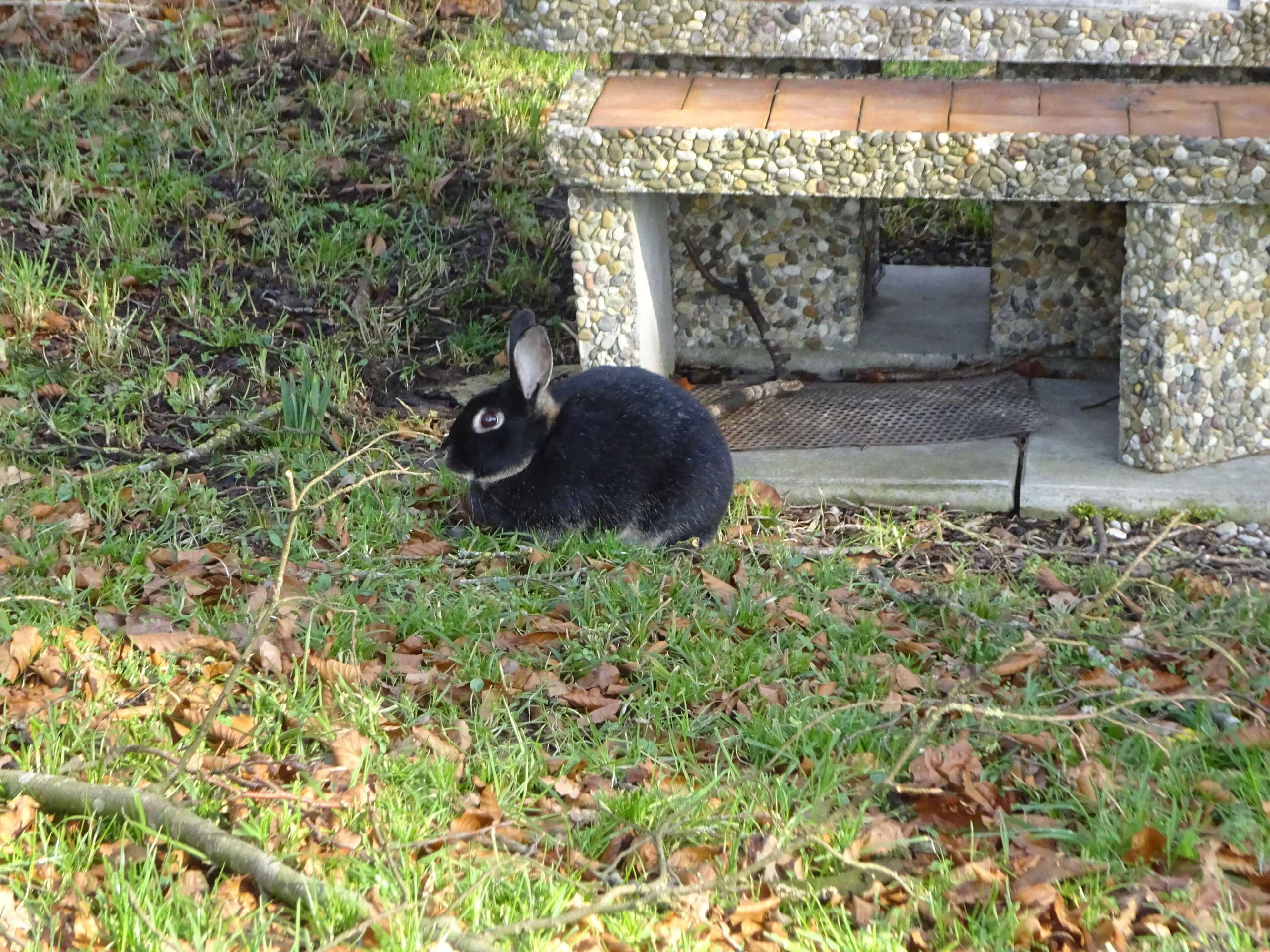 Gift card for Rehalp