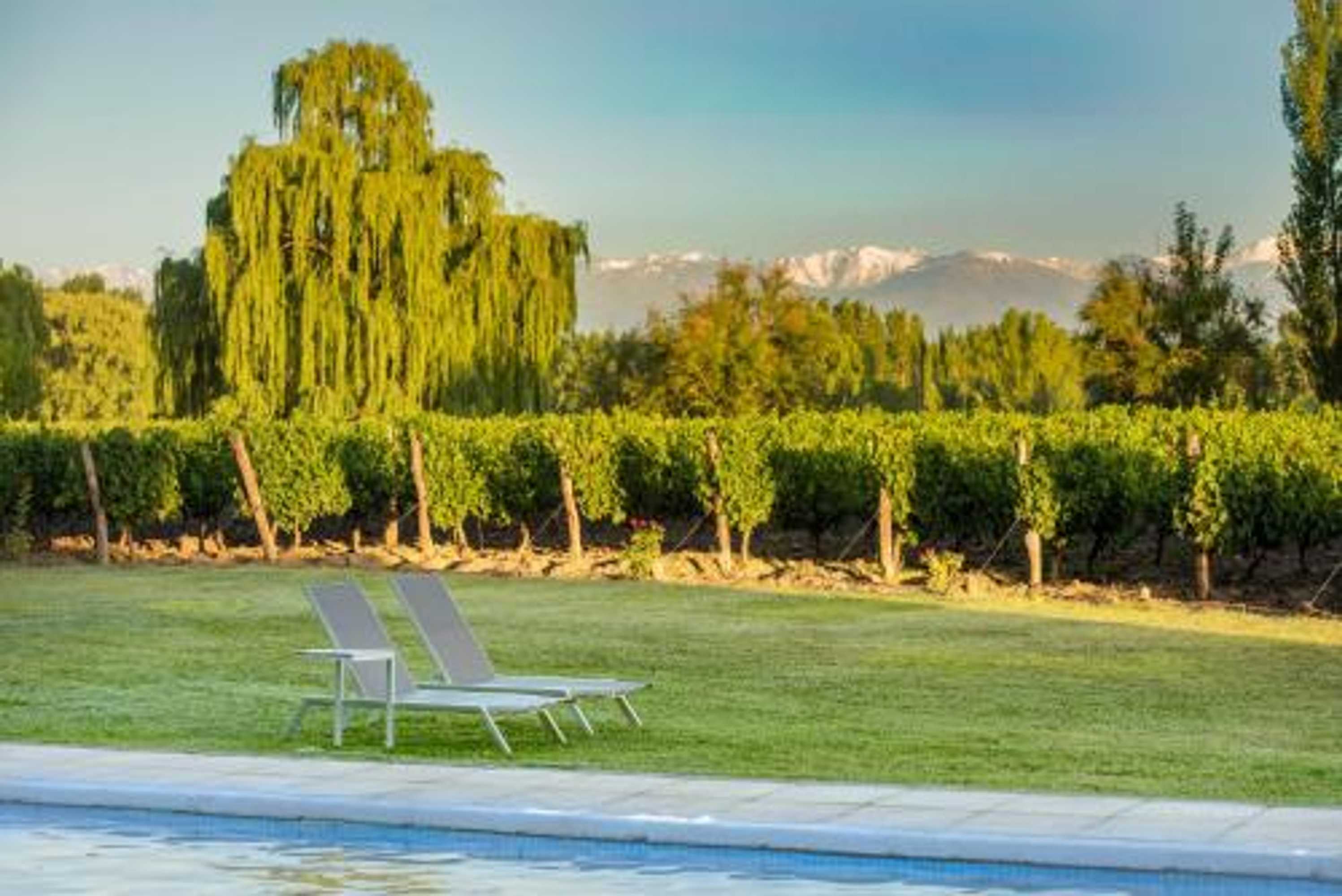 Gift card for Postales Boutique Winery Hotel - Valle de Uco Gift card for Postales Boutique Winery Hotel - Valle de Uco