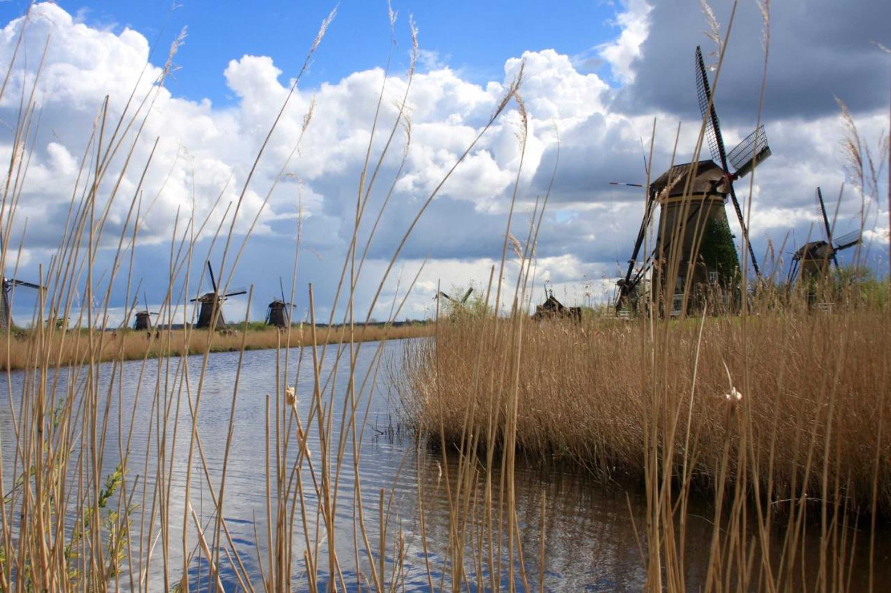 Gift card for Atelier La Luna