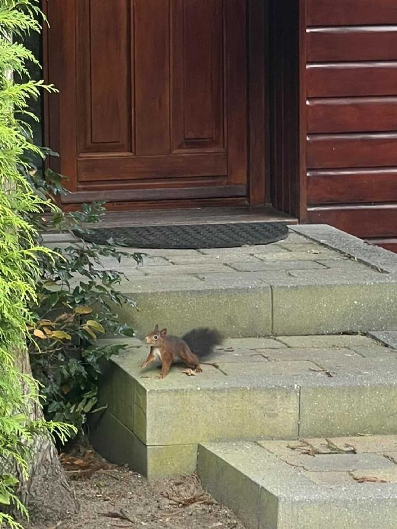 Gift card for Chalet Reewold