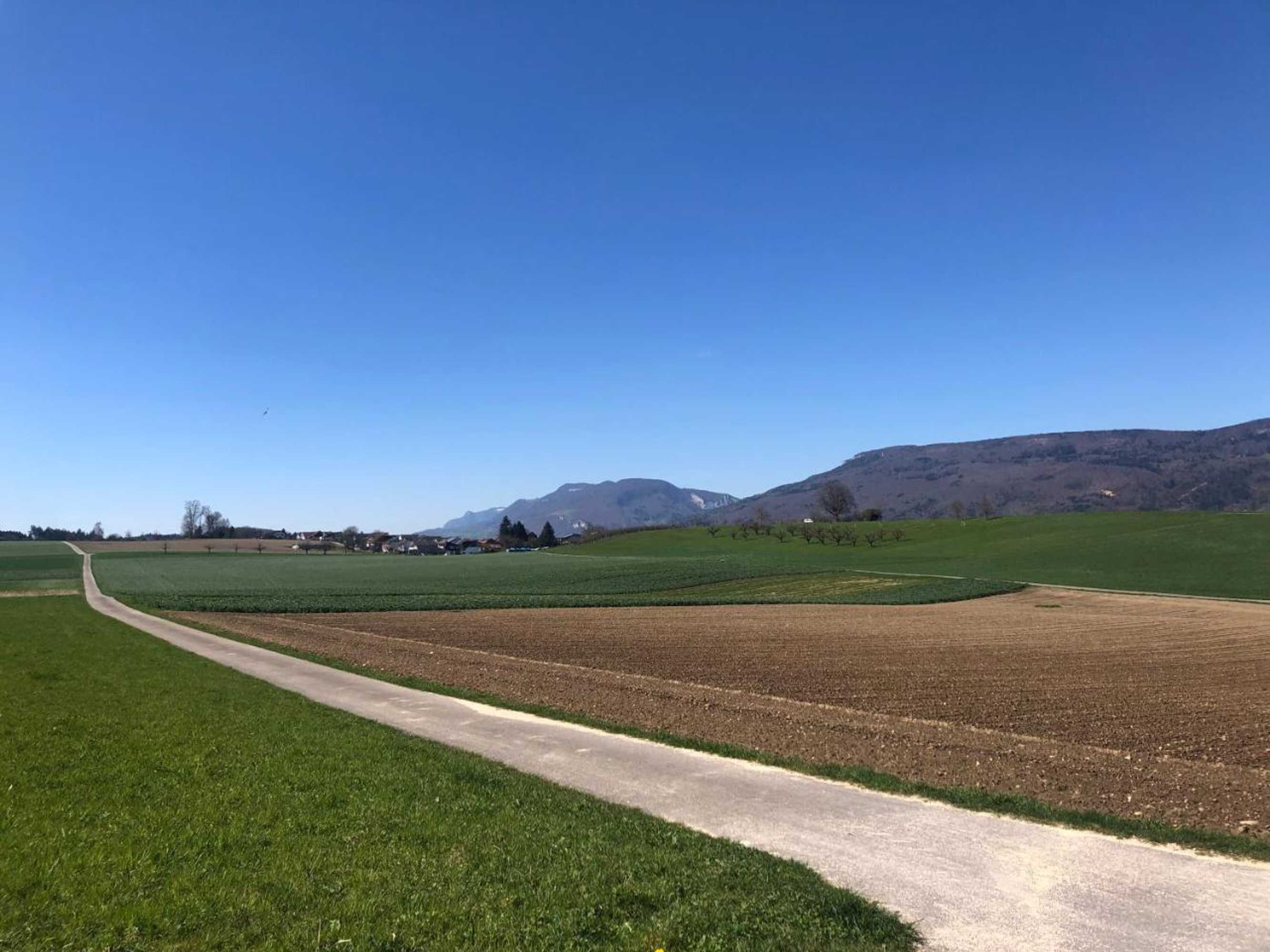 Gift card for Villa Kunterbunt