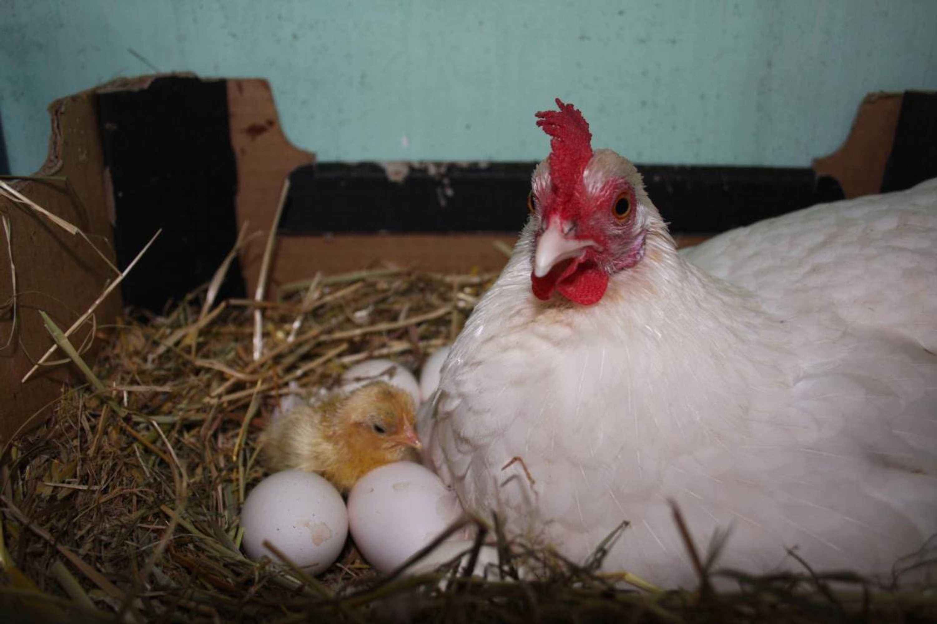 Gift card for Atelier La Luna