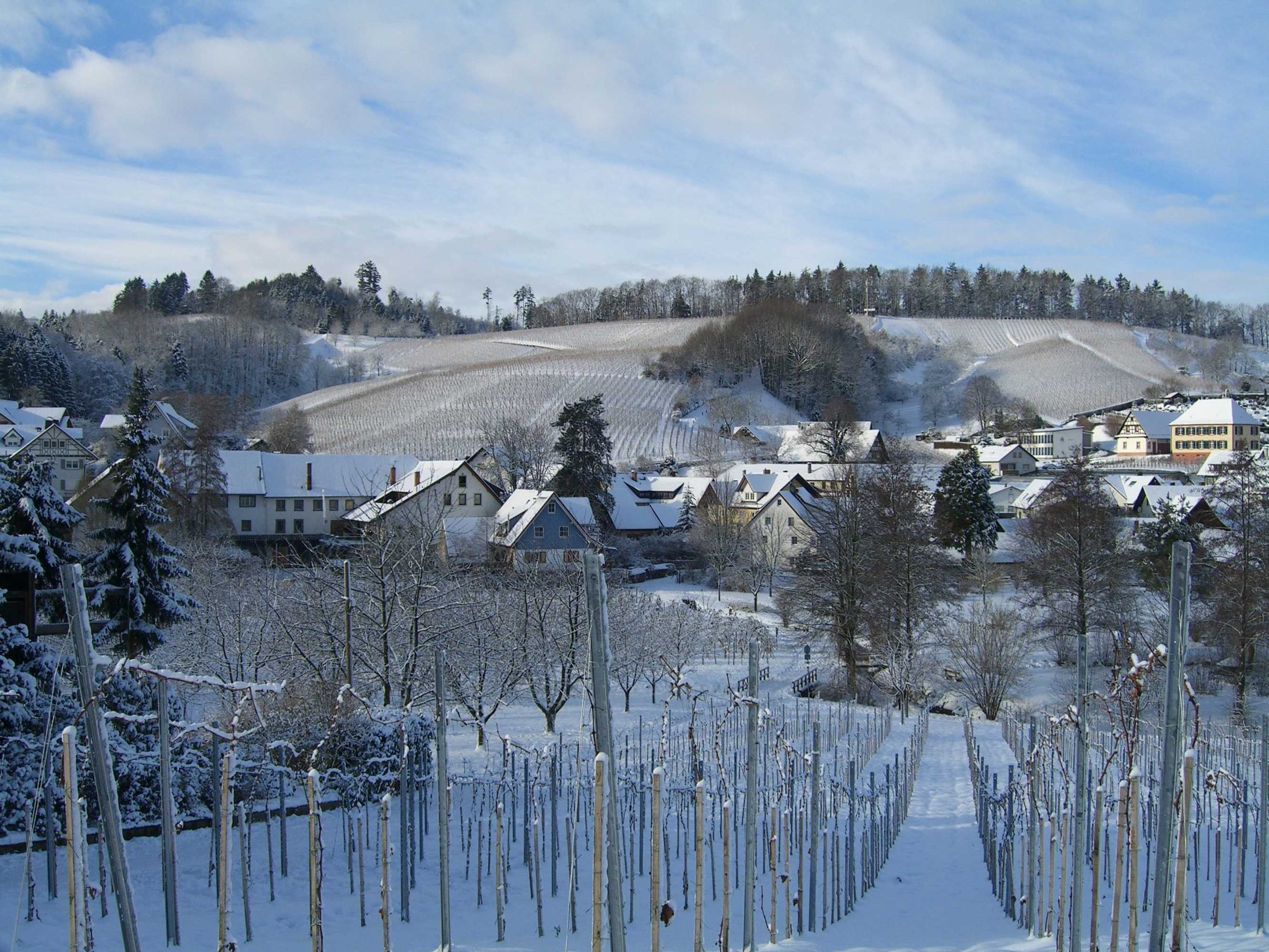 Gift card for Hotel Faxe Schwarzwälder Hof Gift card for Hotel Faxe Schwarzwälder Hof