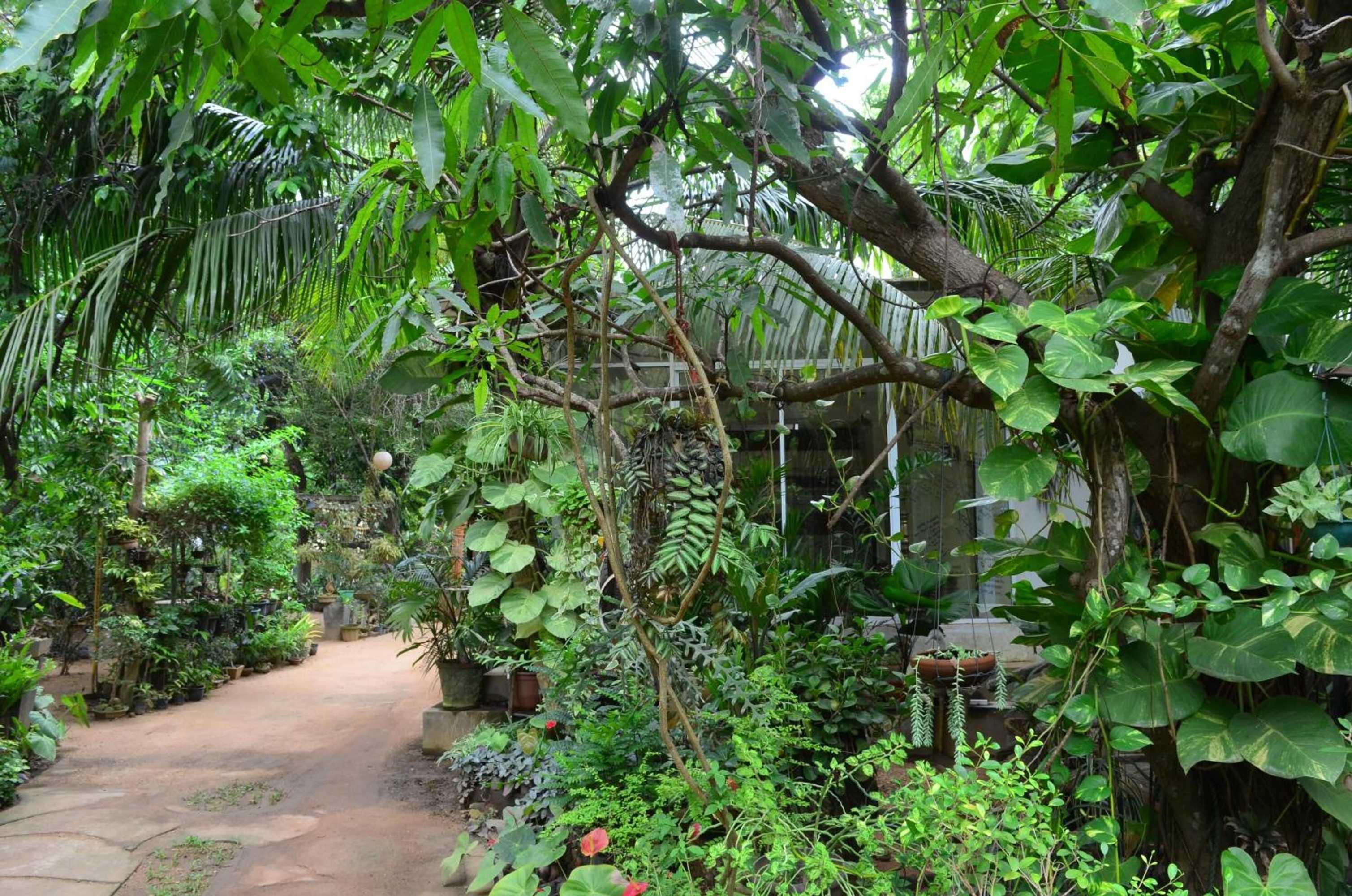 Gift card for Green Garden Resort