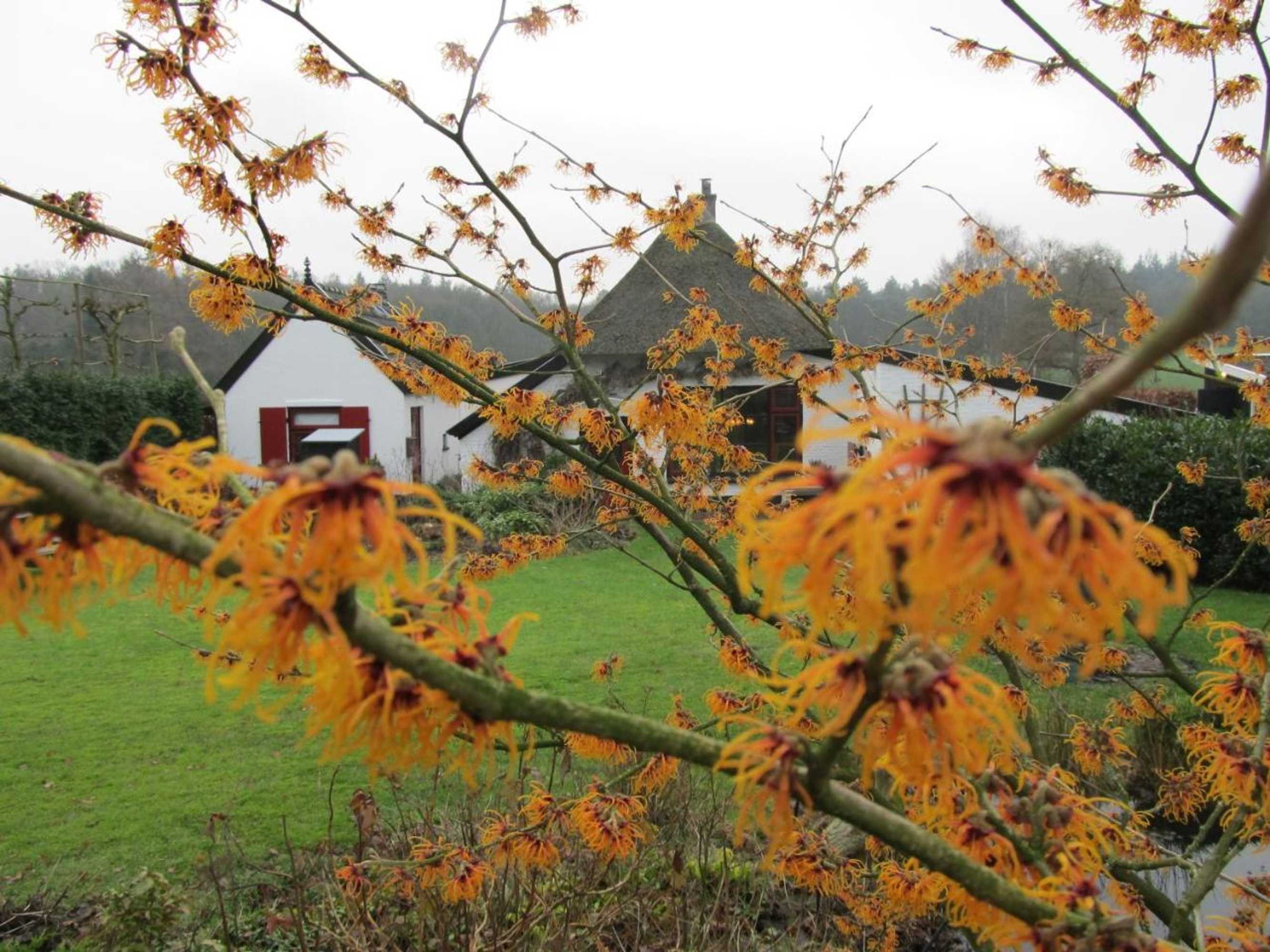 Gift card for B&b Het Bakhuis