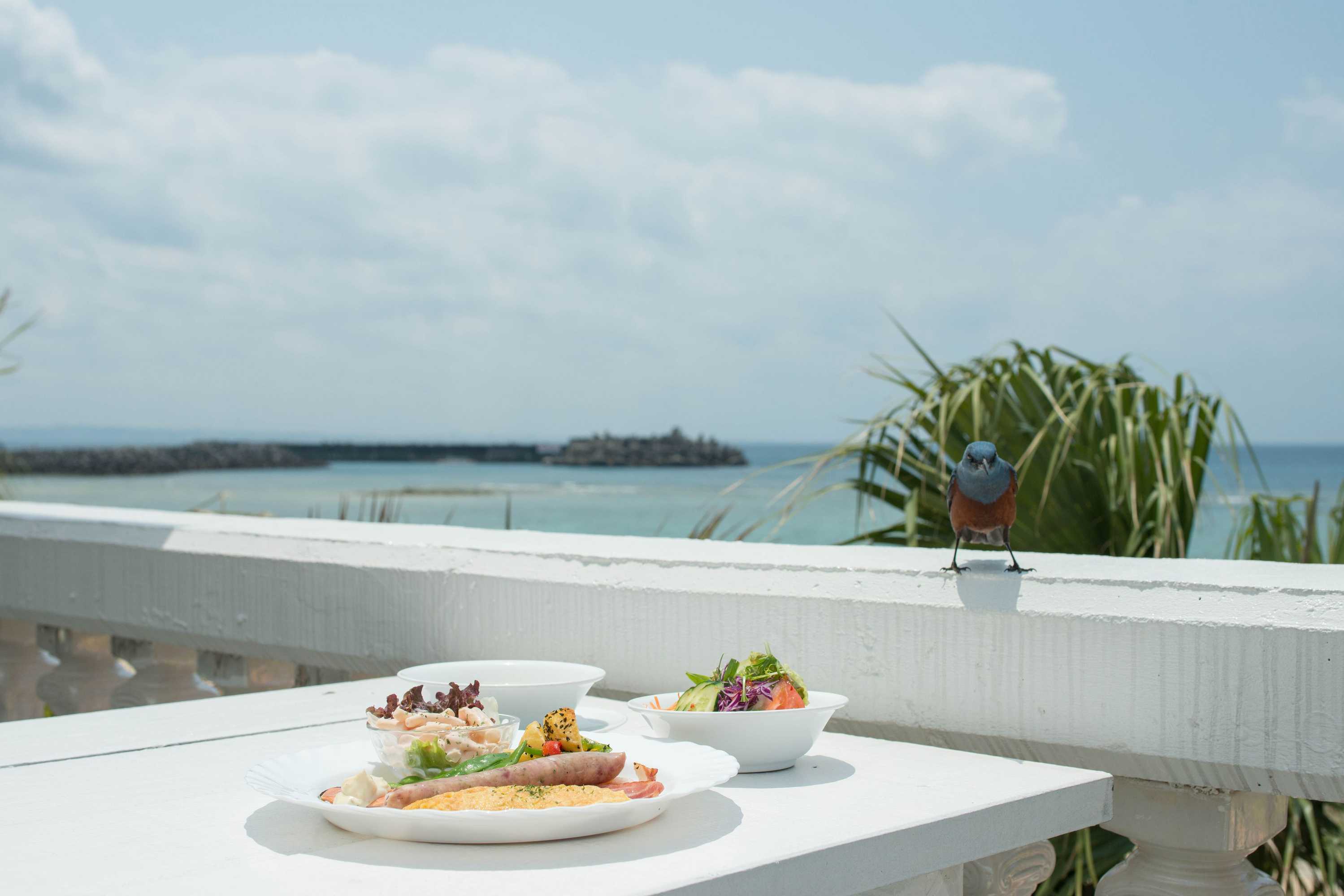 Gift card for Beach Resort Morimar