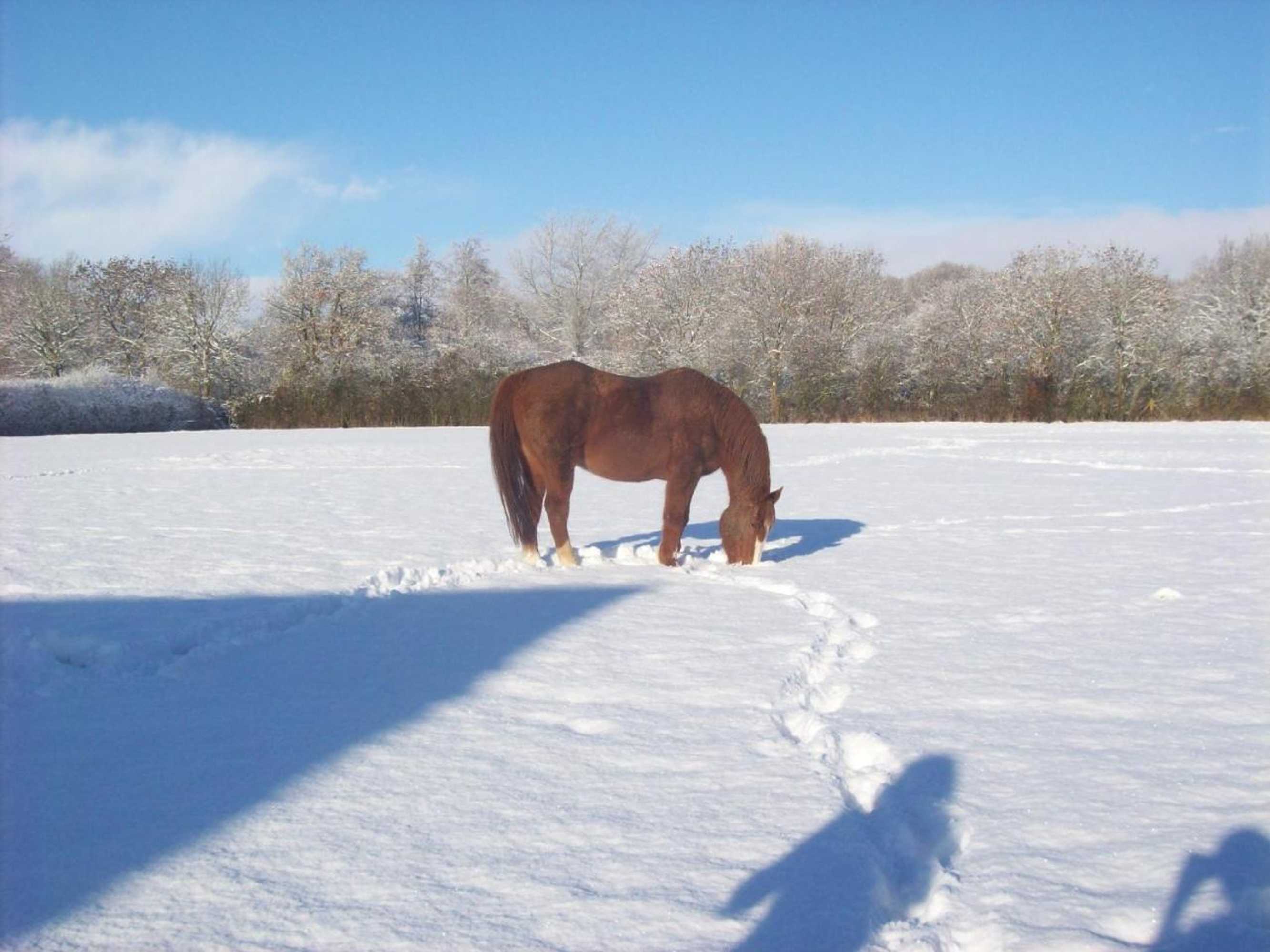 Gift card for Priors Oak - A Cosy Studio With Countryside Views in Dorset