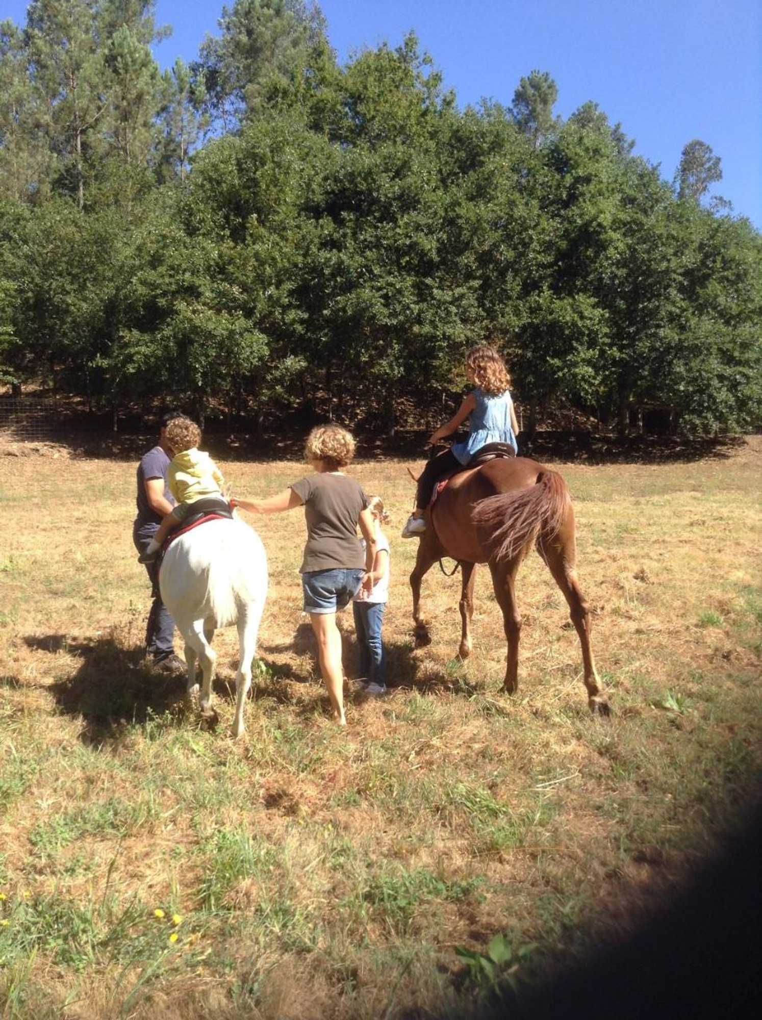 Gift card for Saberamar Little Country