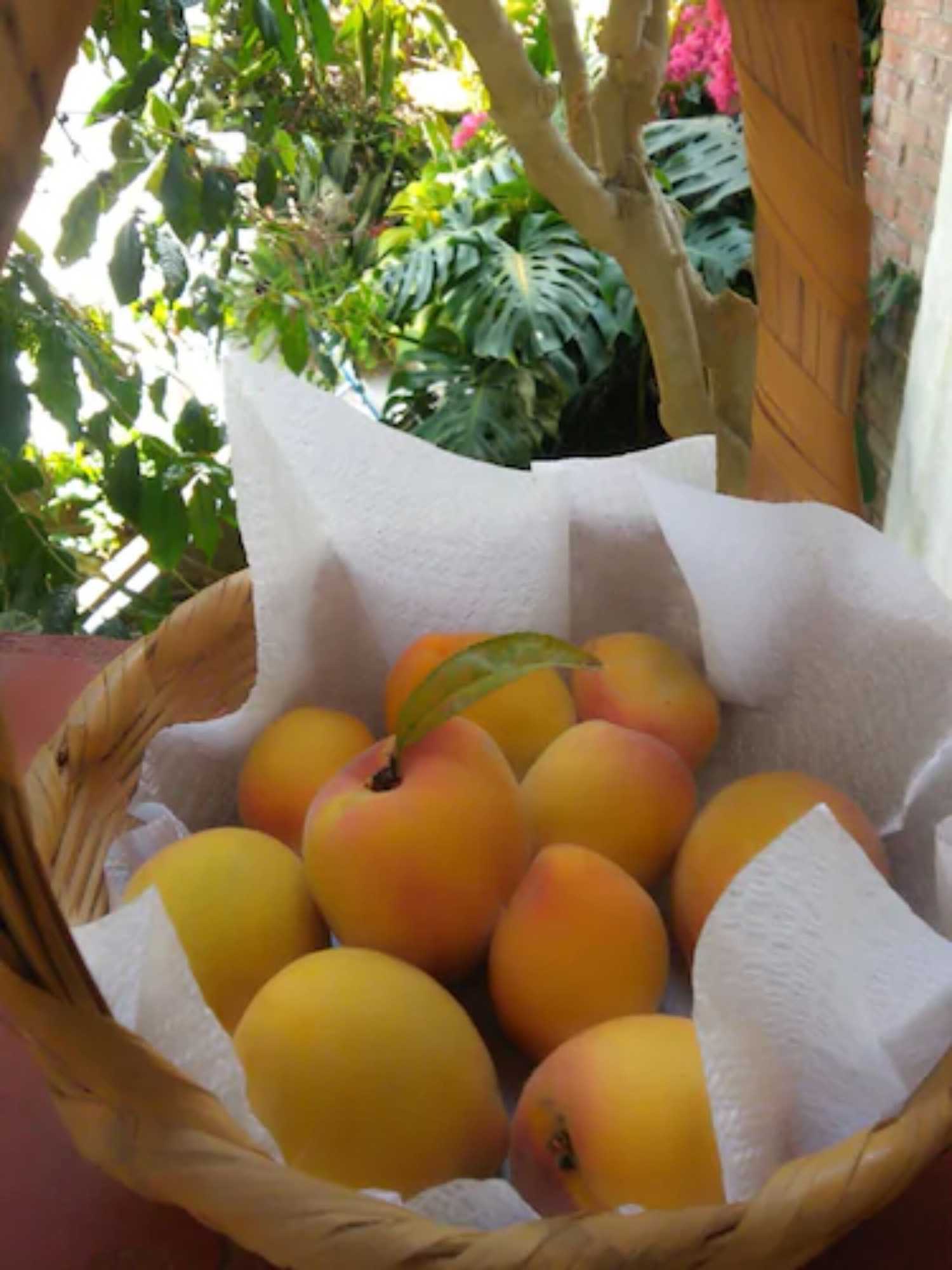 Gift card for Hotel La Casona Breakfast & Wellness Center