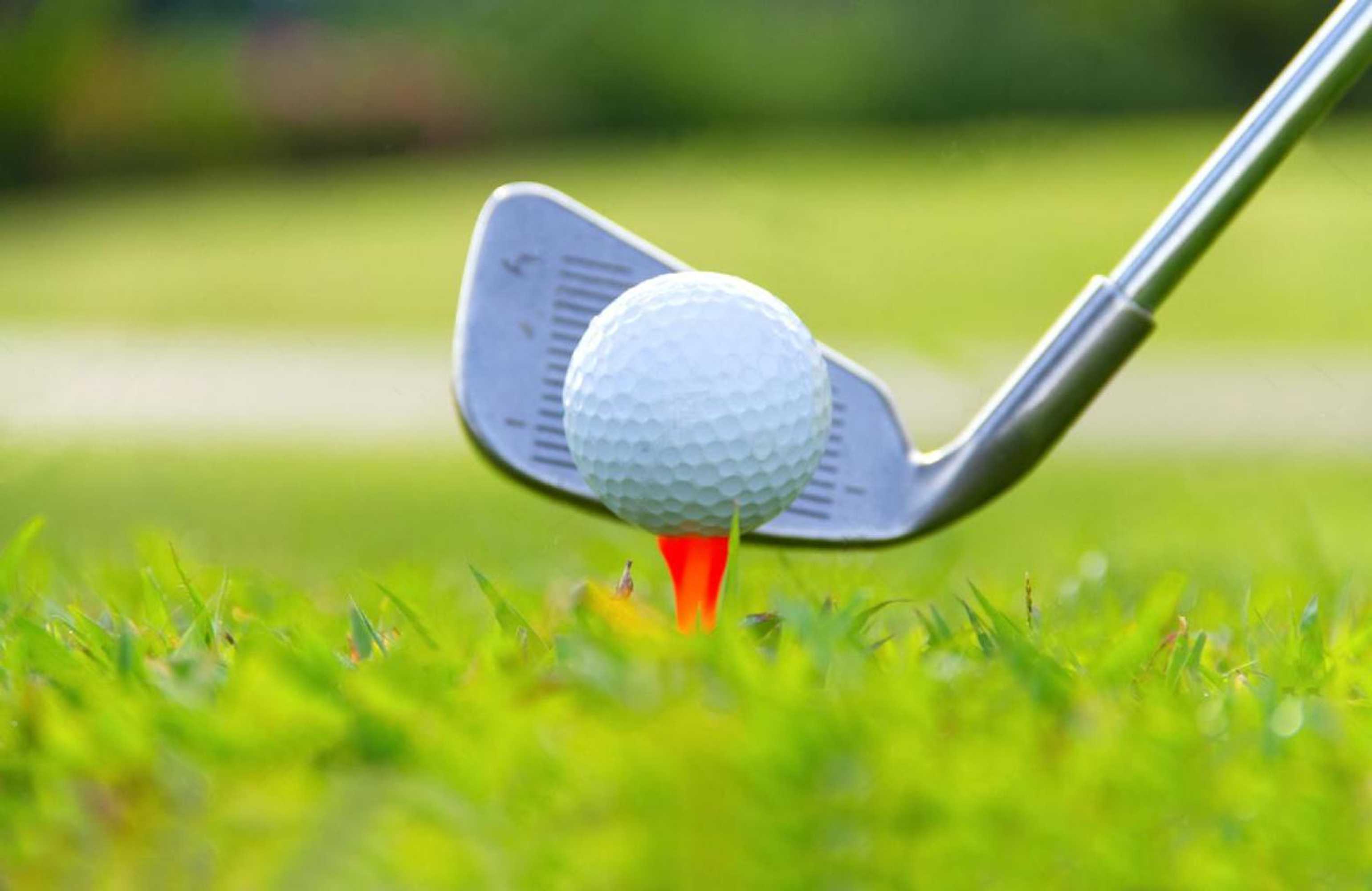 Gift card for New Forest Lodges Gift card for New Forest Lodges