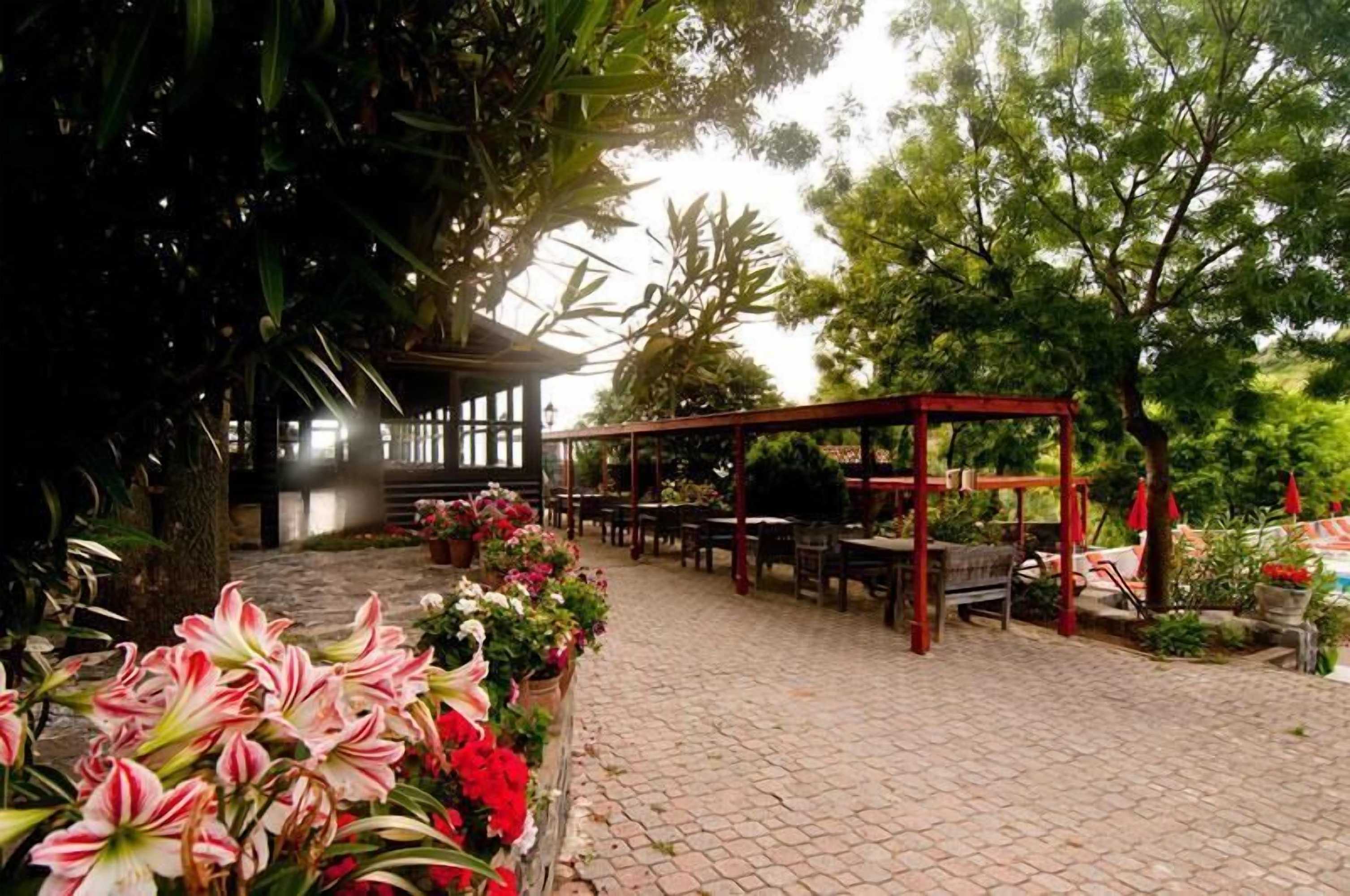 Gift card for Fener Motel