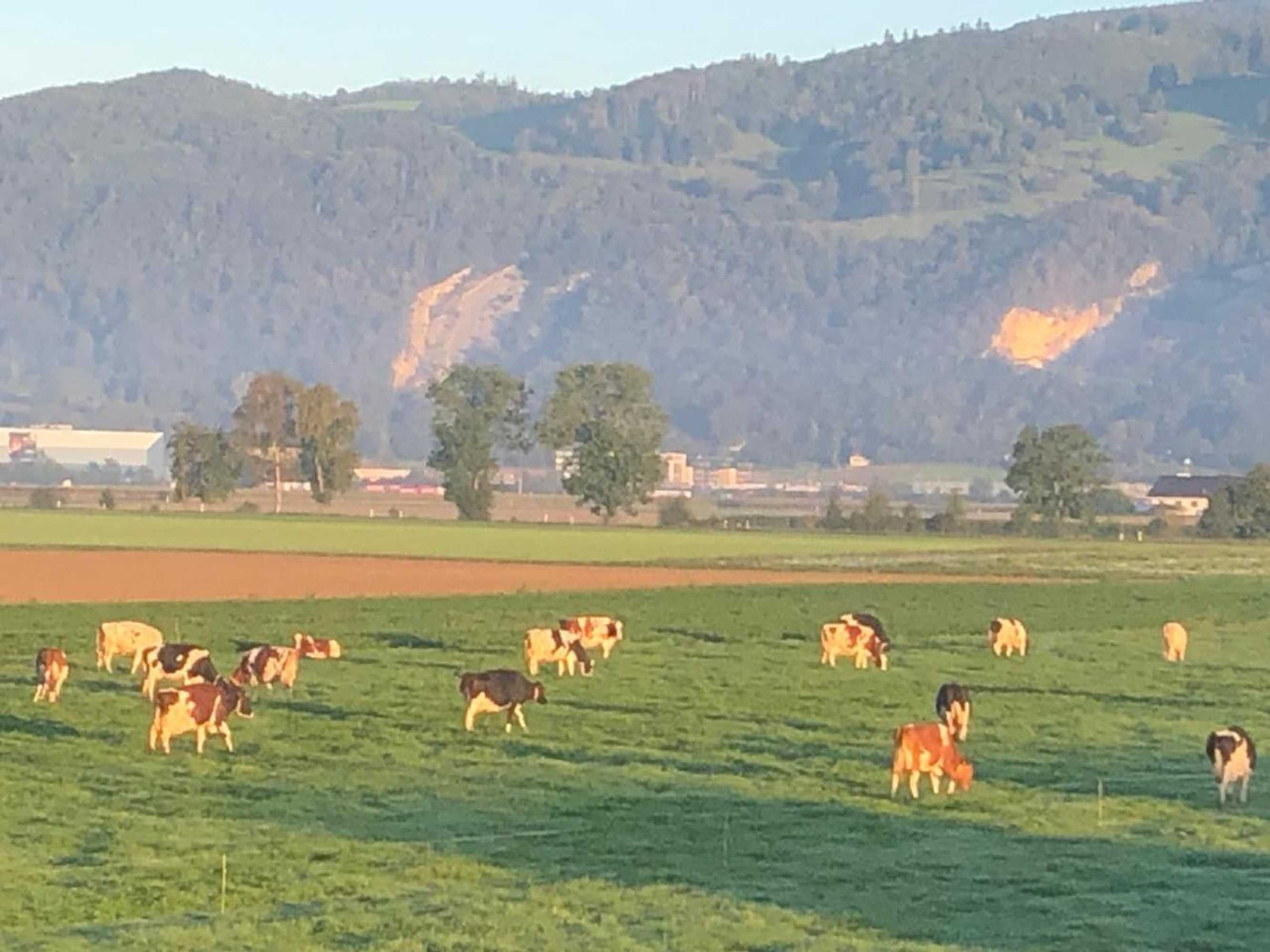 Gift card for Villa Kunterbunt