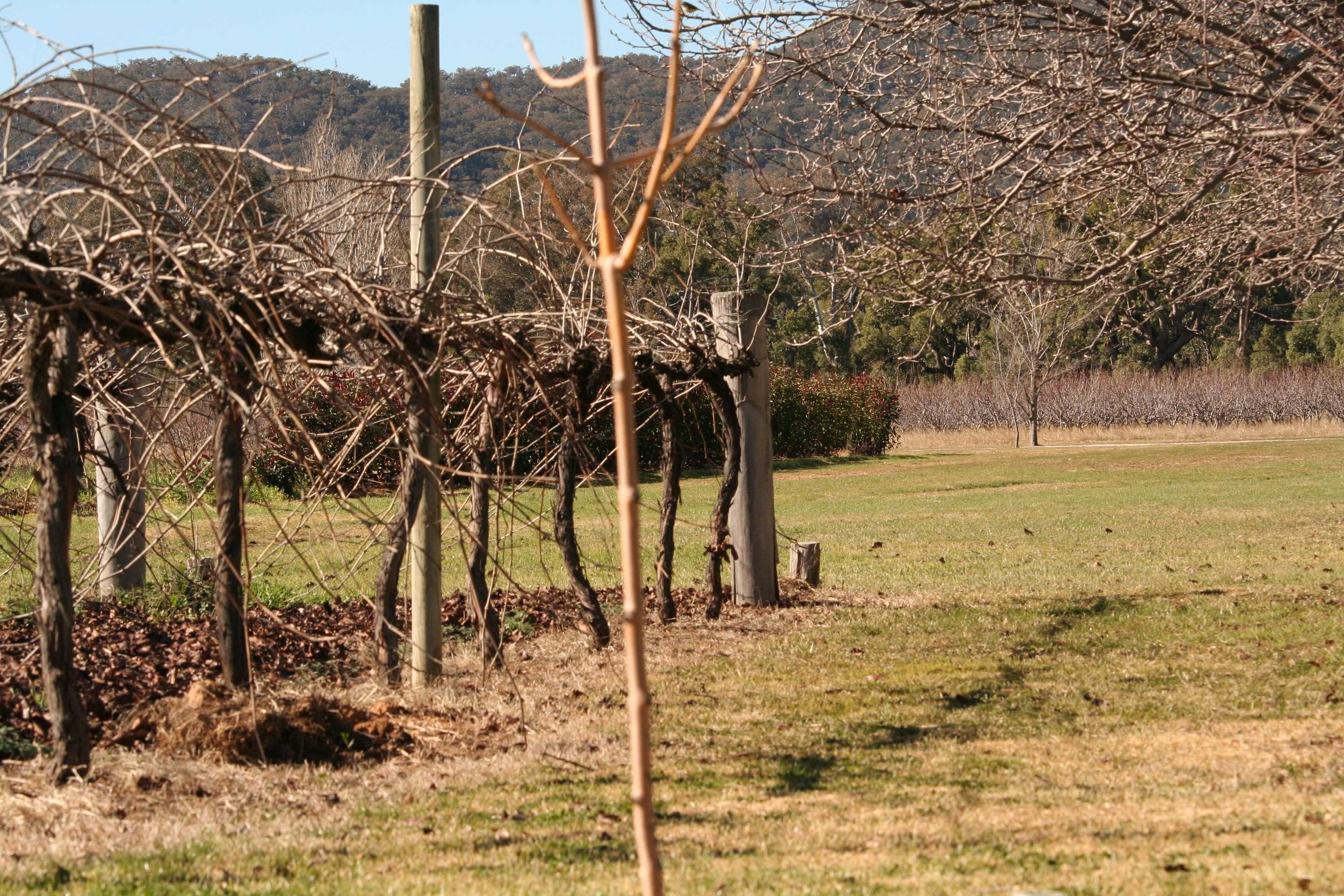 Gift card for The Farmhouse at Blue Wren Wines Gift card for The Farmhouse at Blue Wren Wines