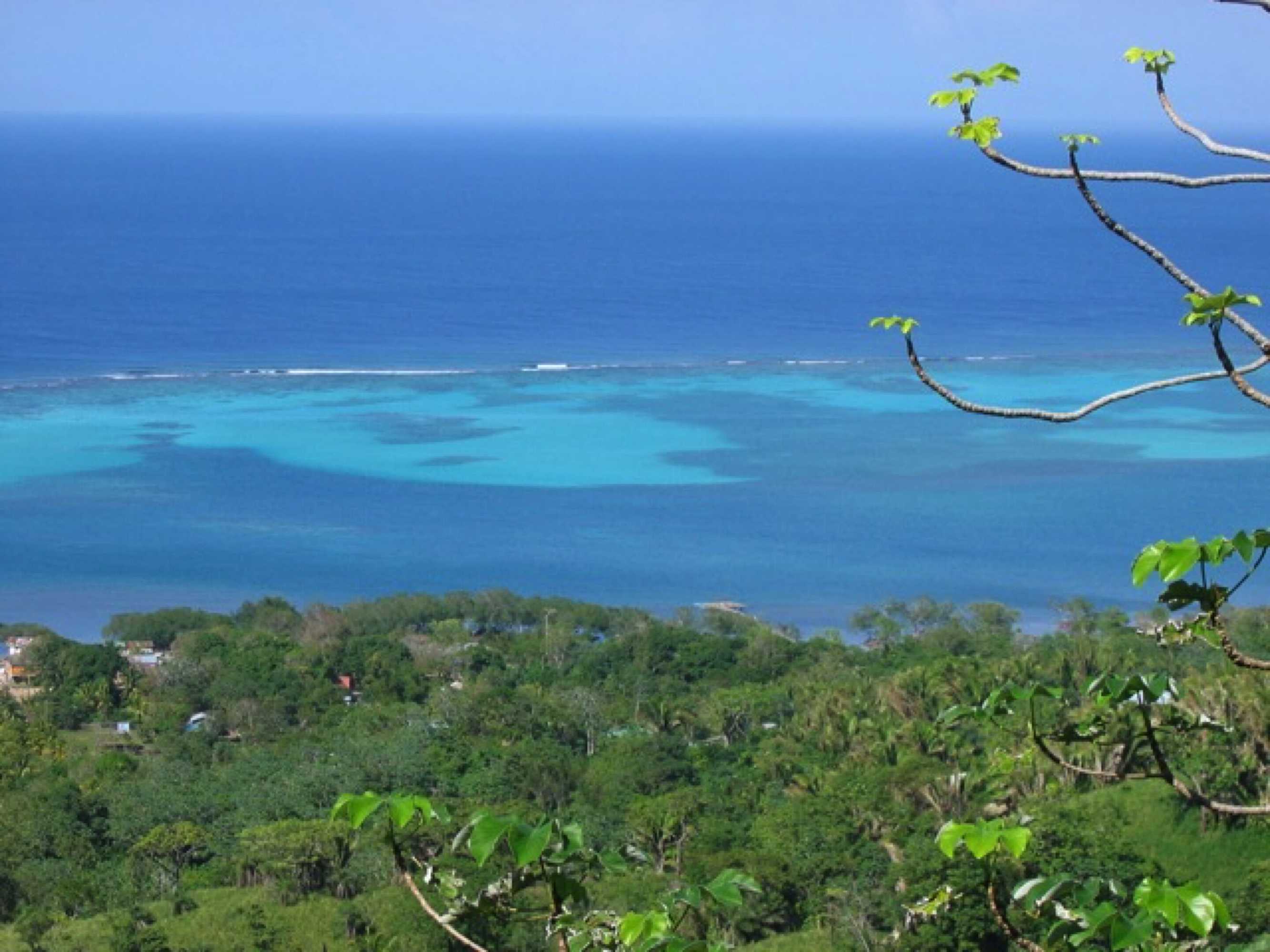 Gift card for Roatan Bed & Breakfast Apartments Gift card for Roatan Bed & Breakfast Apartments