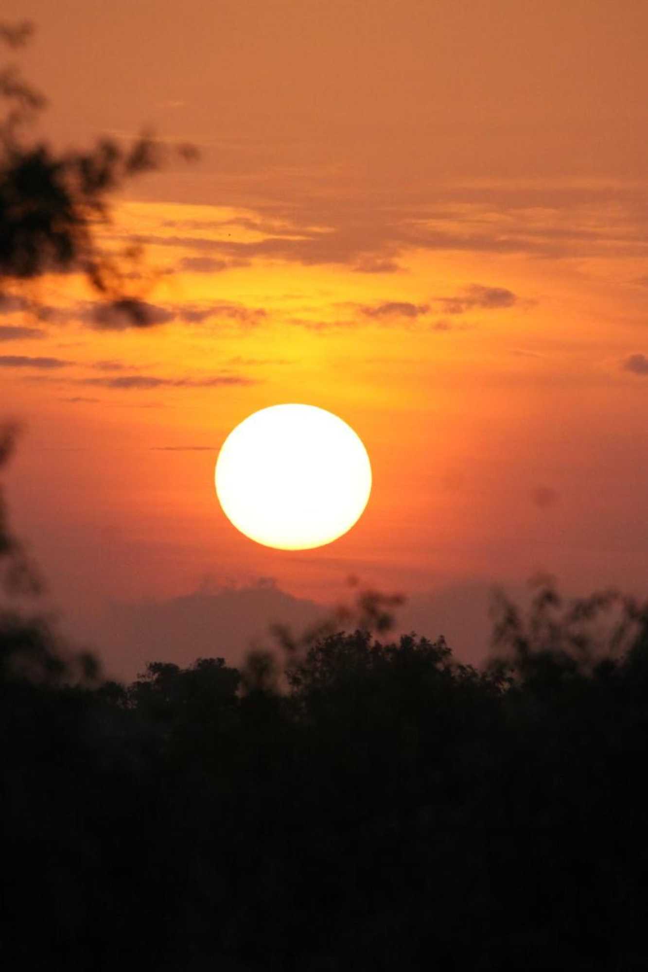 Gift card for The Ibis - Wilpattu
