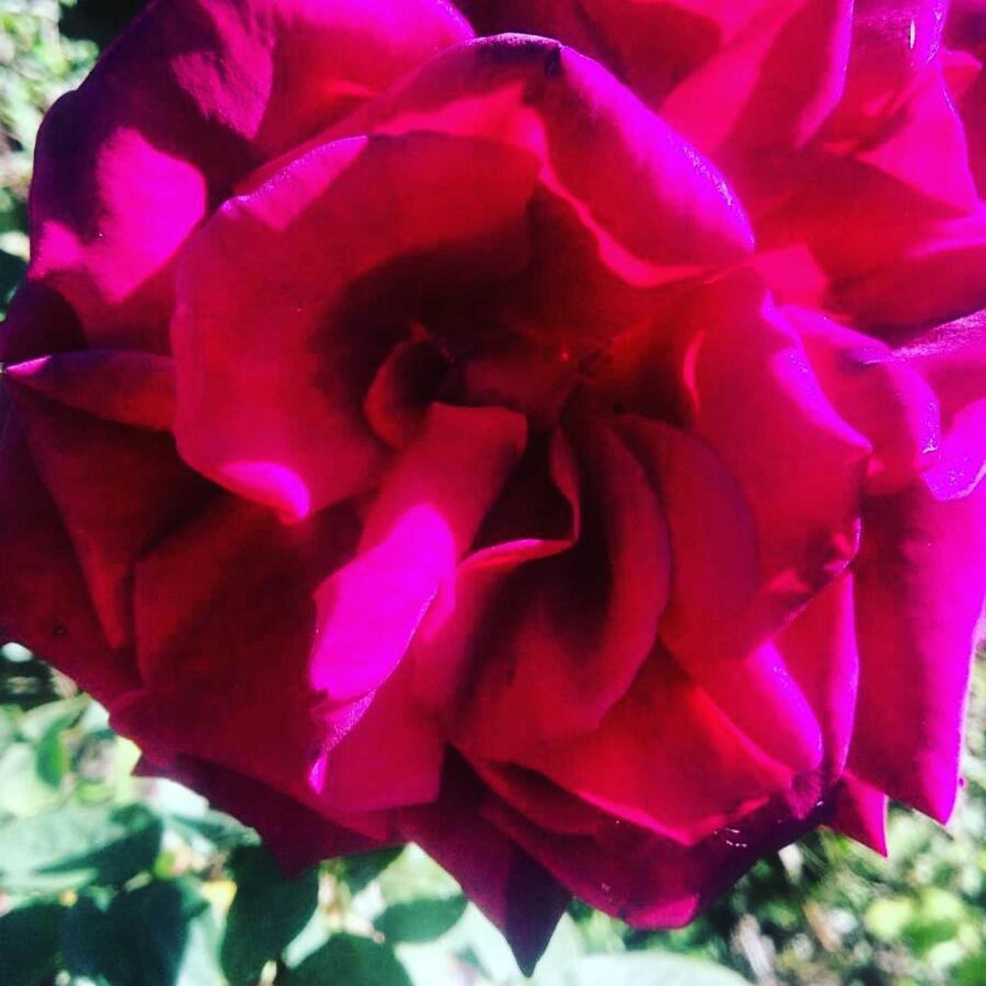 Gift card for Balally House