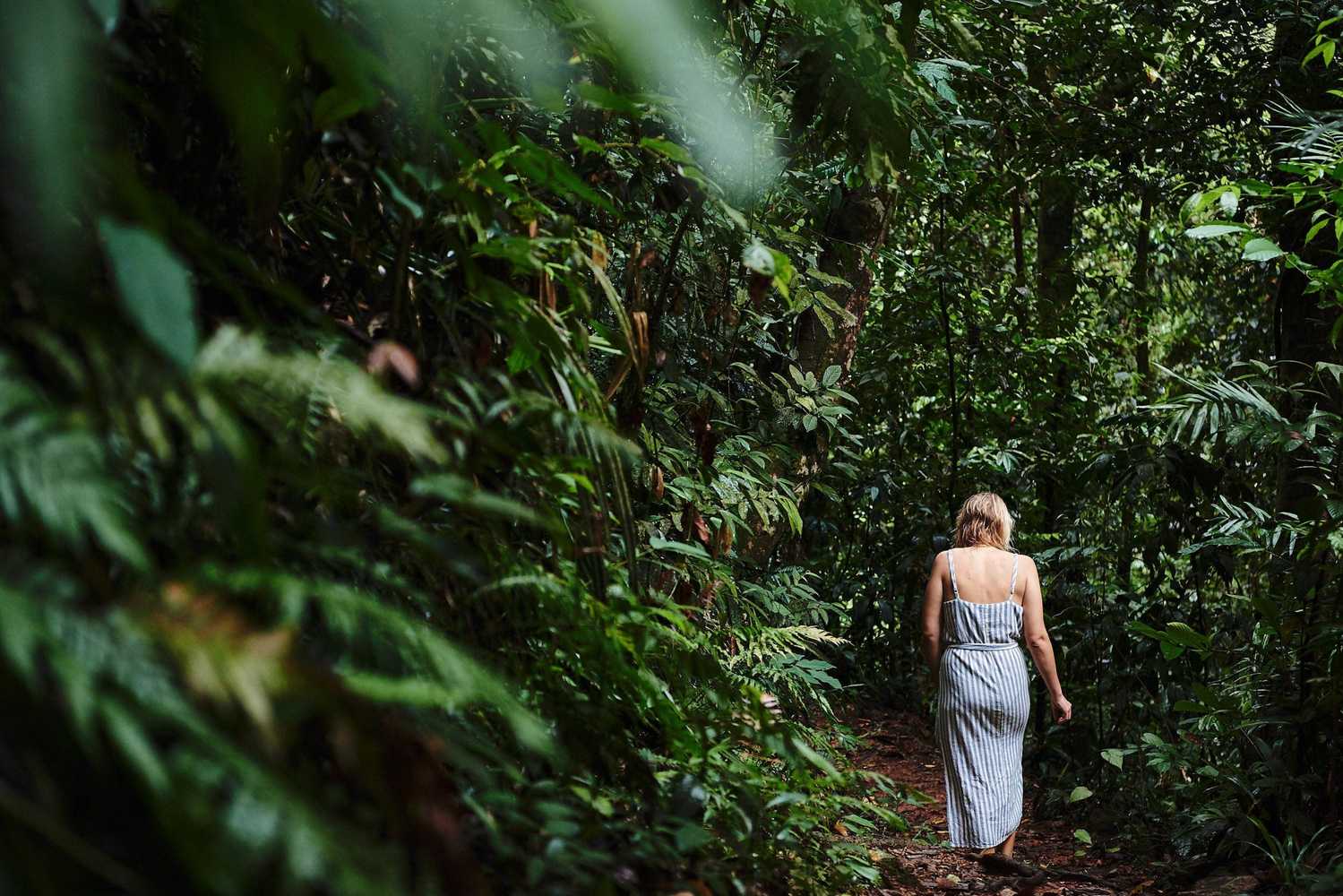 Gift card for Daintree Ecolodge