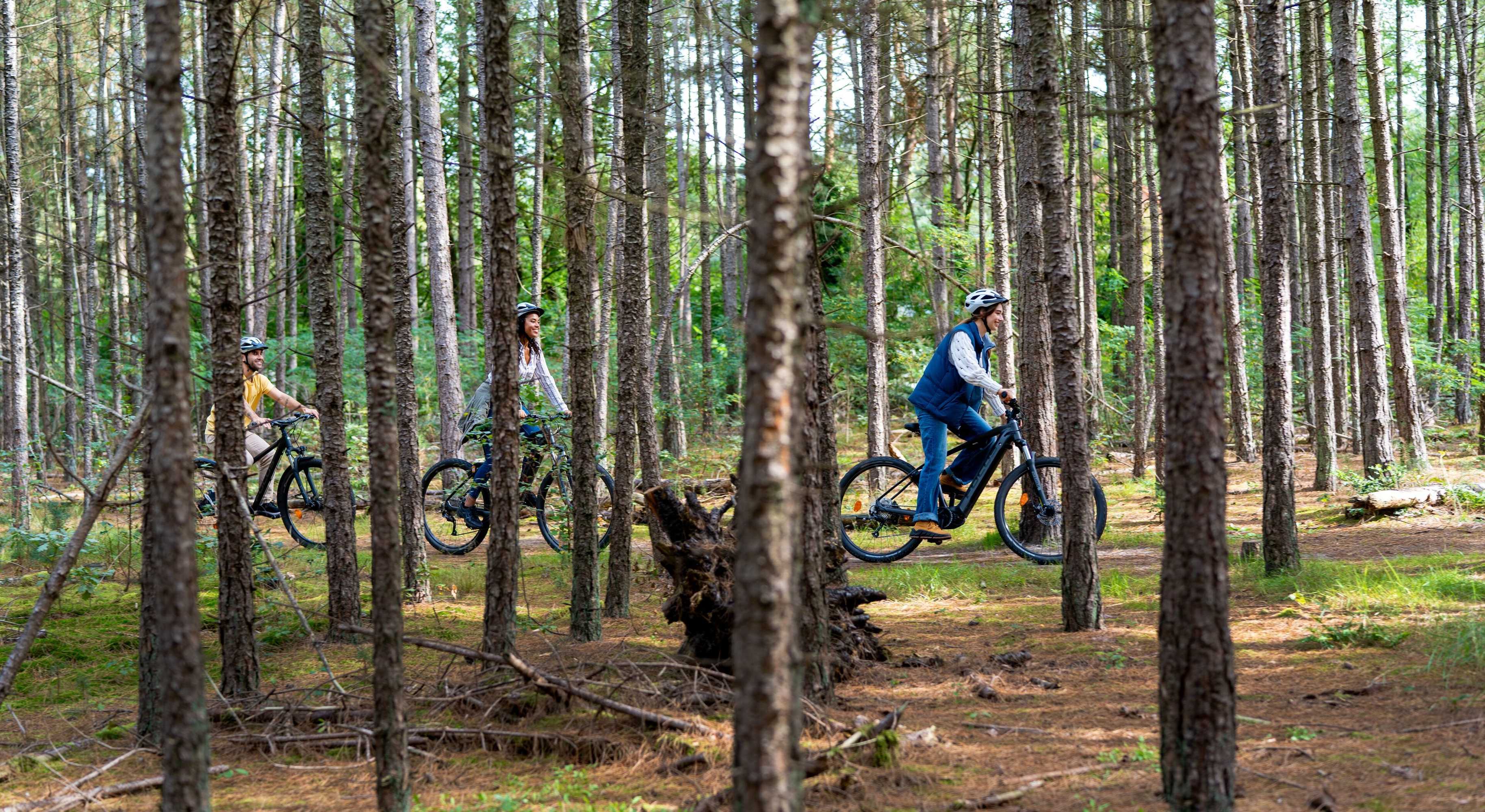 Gift card for Sunparks Kempense Meren